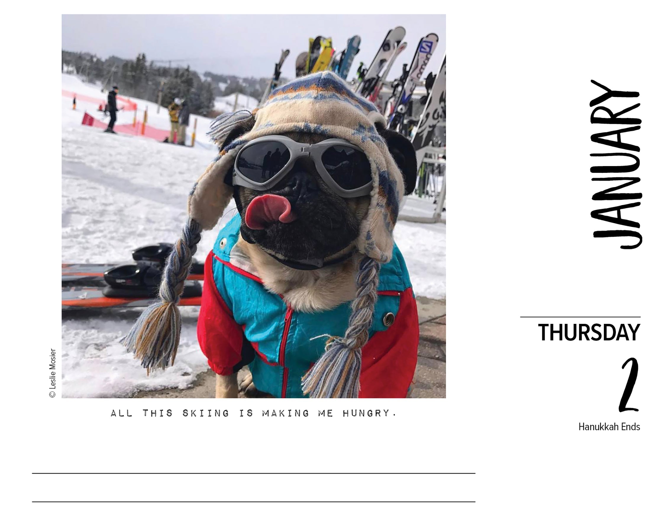 2025 Doug the Pug - USA - Daily Boxed Page-A-Day Calendar