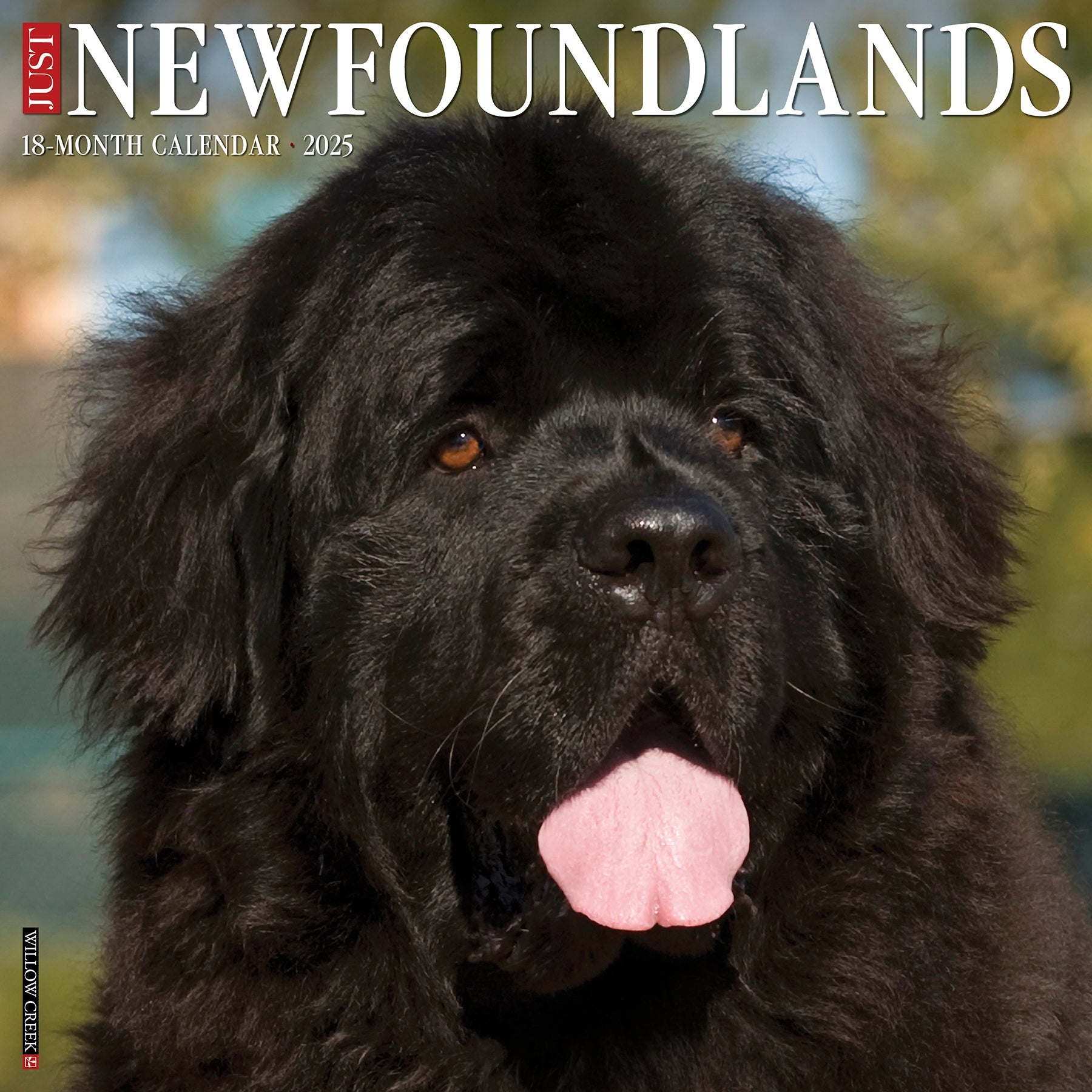 2025 Newfoundlands - Square Wall Calendar