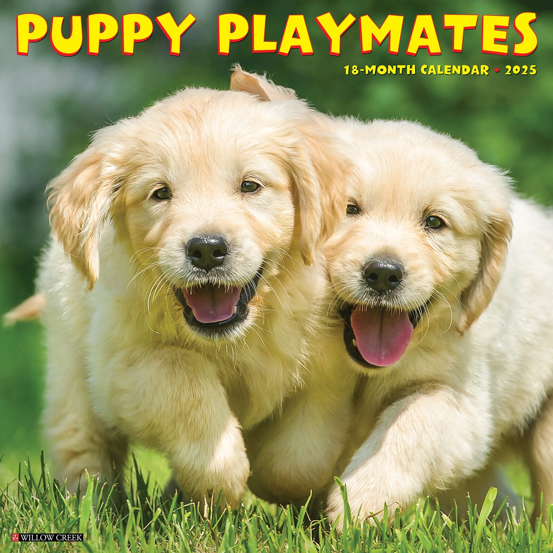 2025 Puppy Playmates - Square Wall Calendar