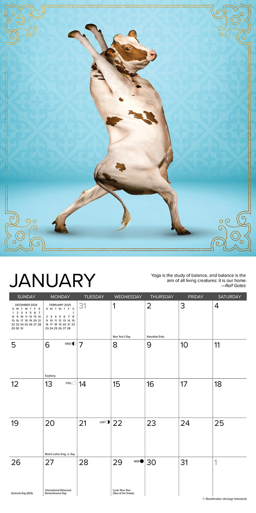 2025 Cow Yoga - Mini Wall Calendar