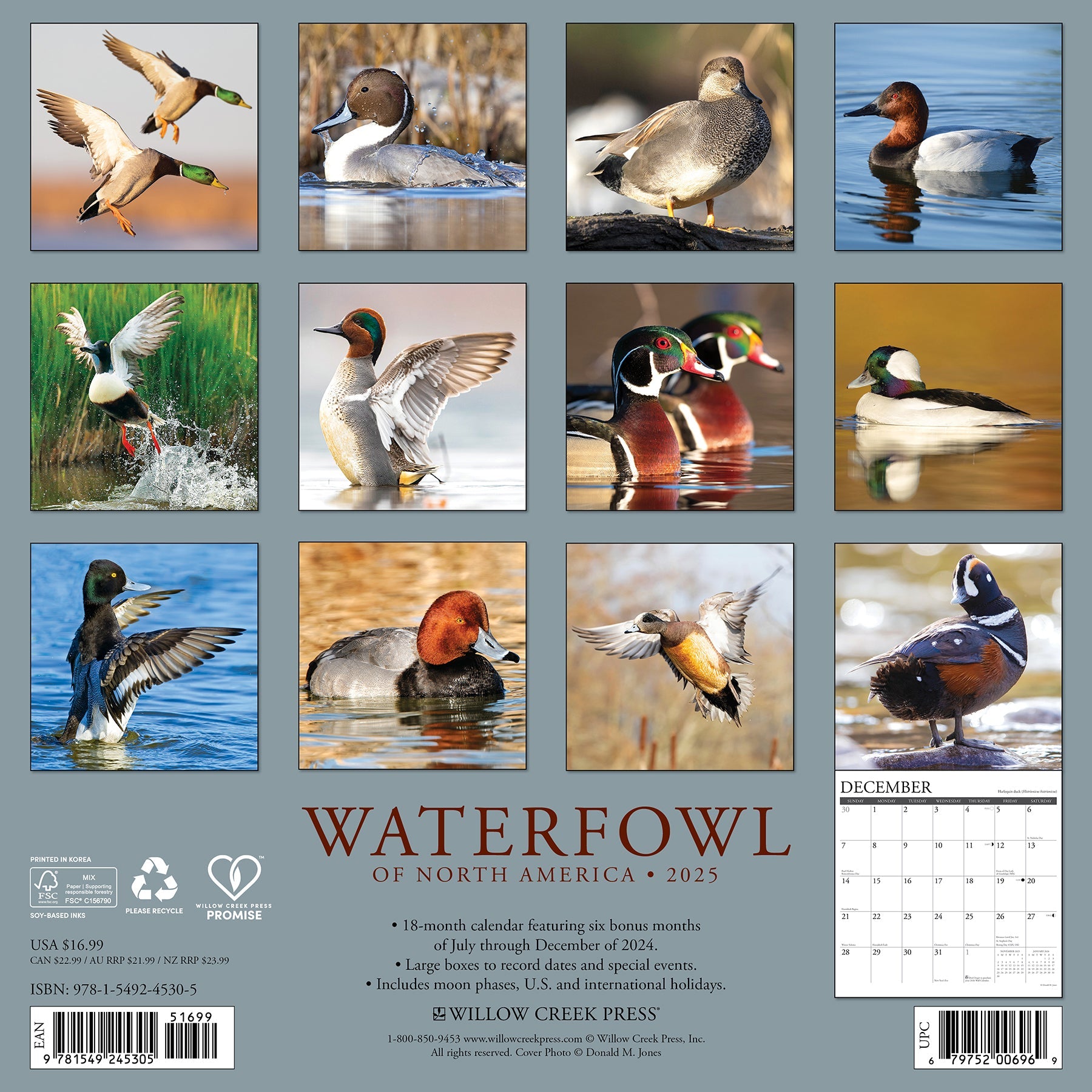 2025 Waterfowl - Square Wall Calendar