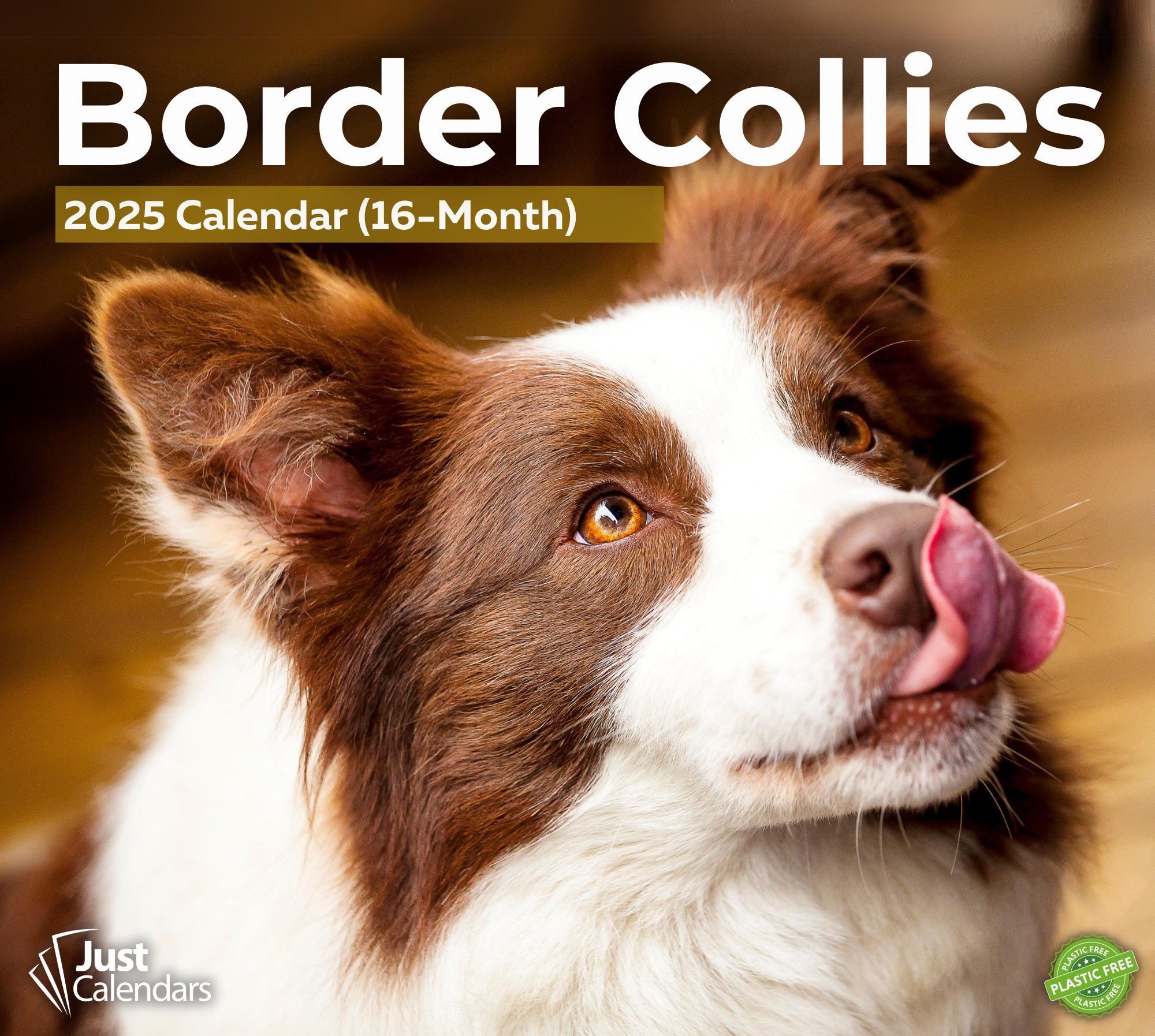 2025 Border Collies - Deluxe Wall Calendar