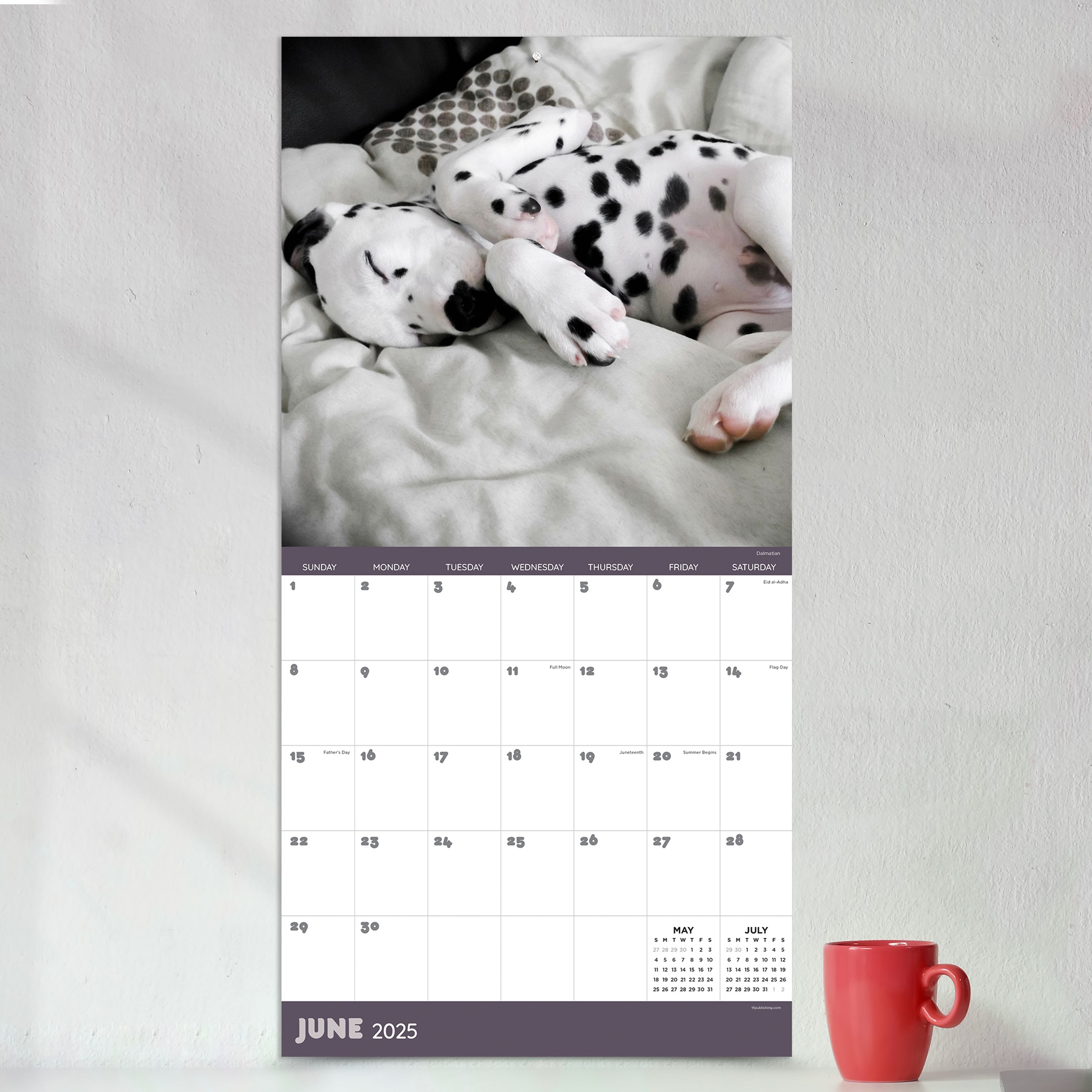 2025 Dog Dreams - Square Wall Calendar