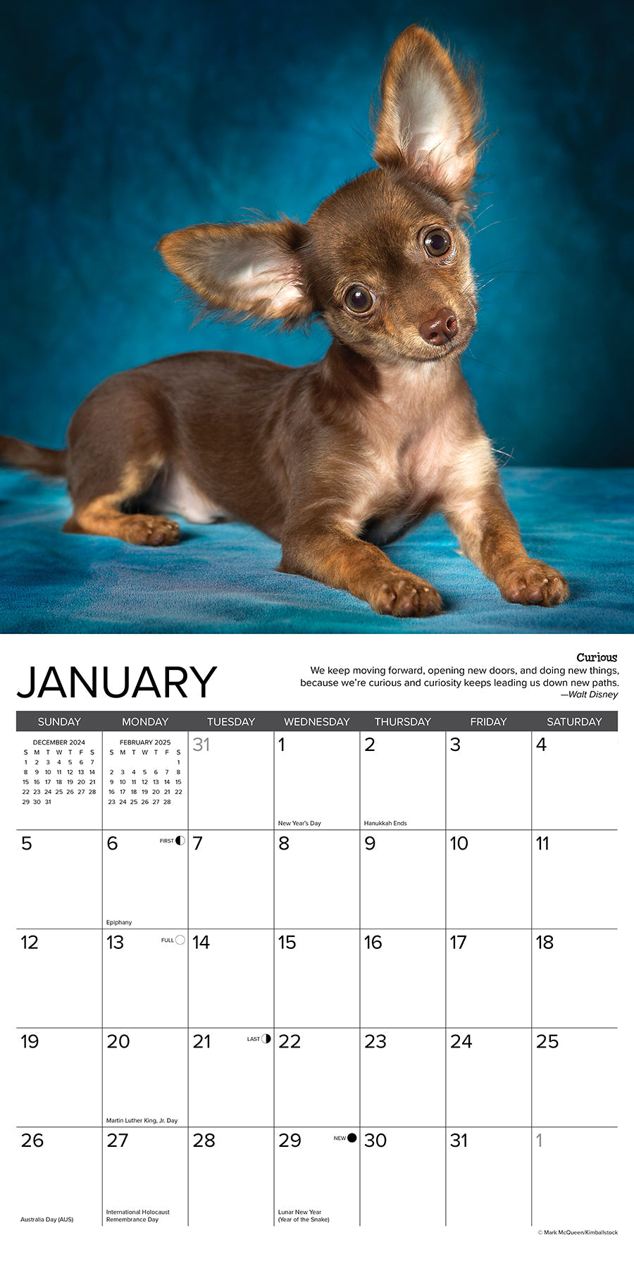 2025 Chihuahua Rules - Square Wall Calendar