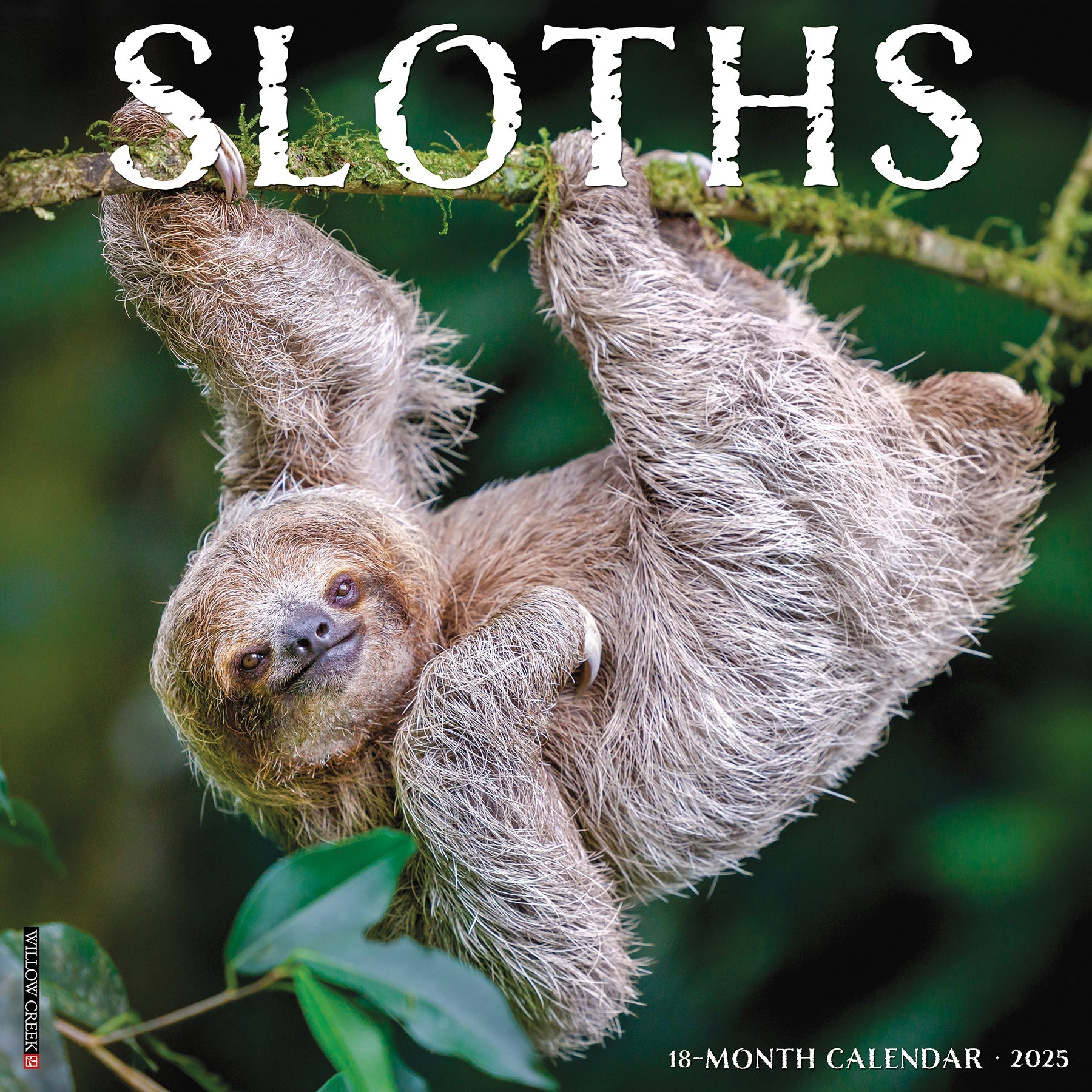 2025 Sloths - Square Wall Calendar