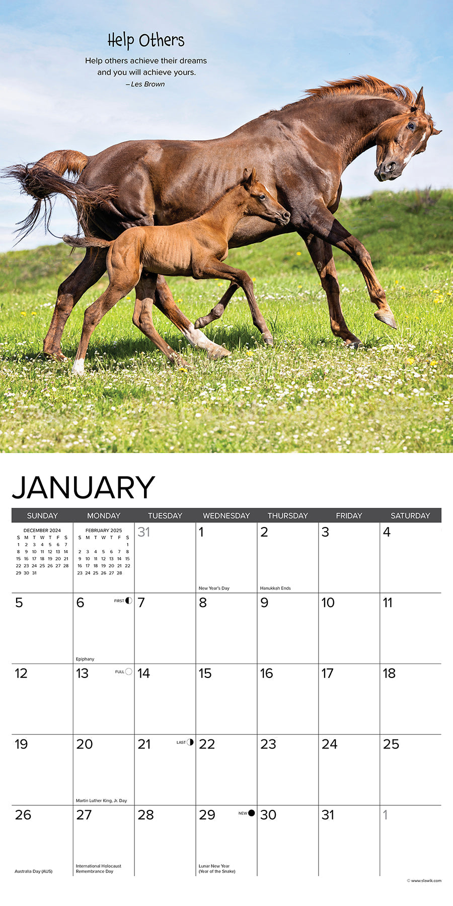 2025 Seize the Hay - Square Wall Calendar