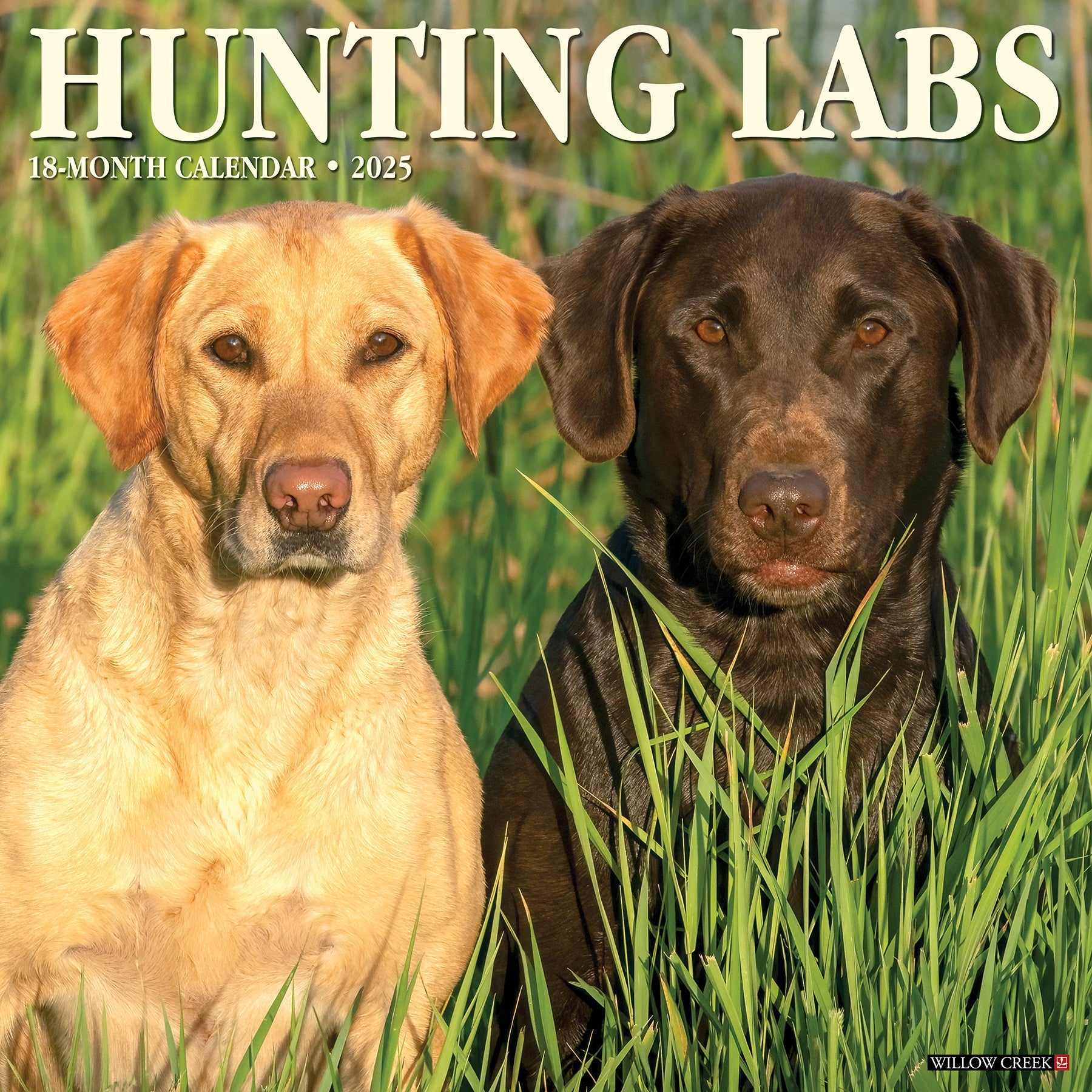 2025 Hunting Labs - Square Wall Calendar