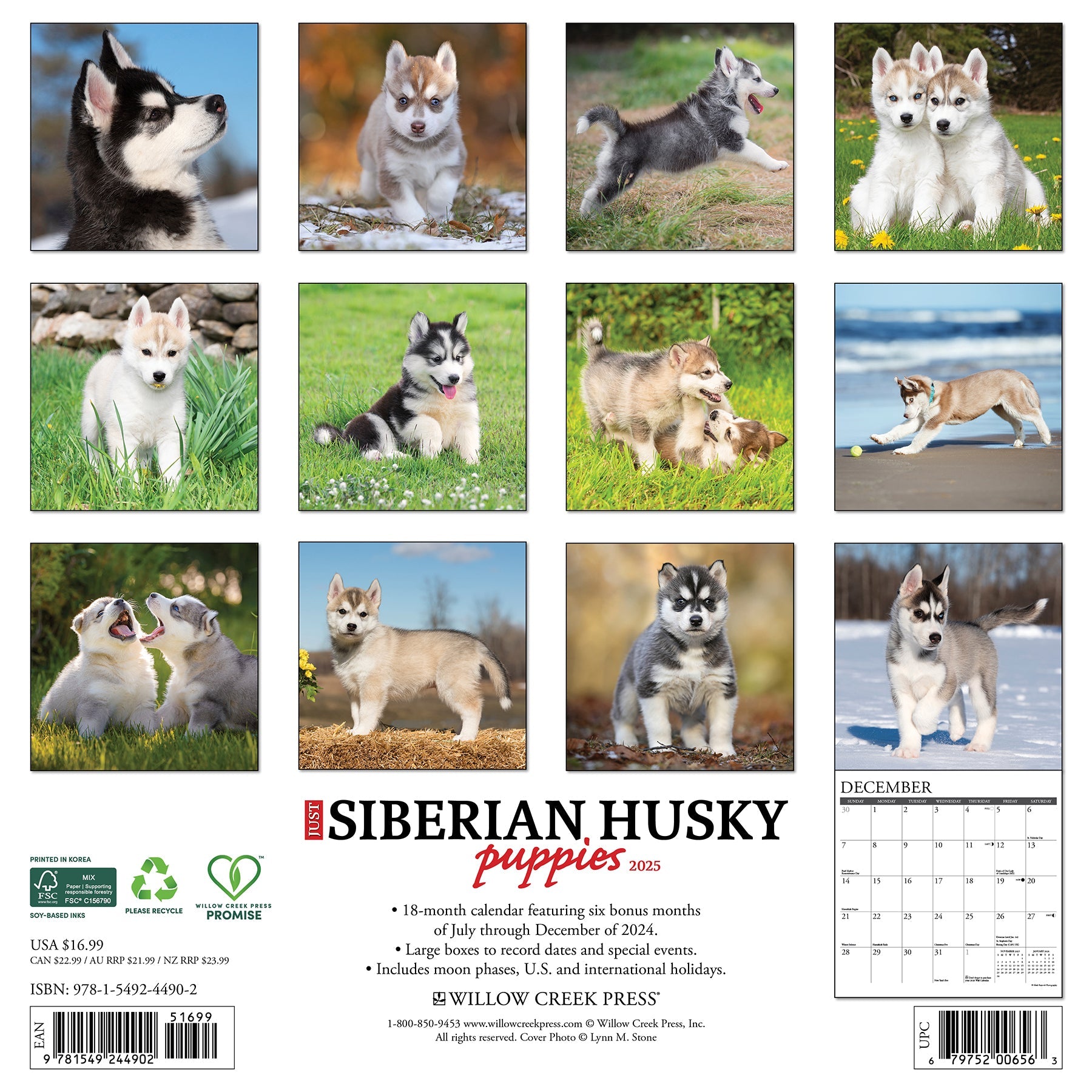 2025 Siberian Husky Puppies - Square Wall Calendar
