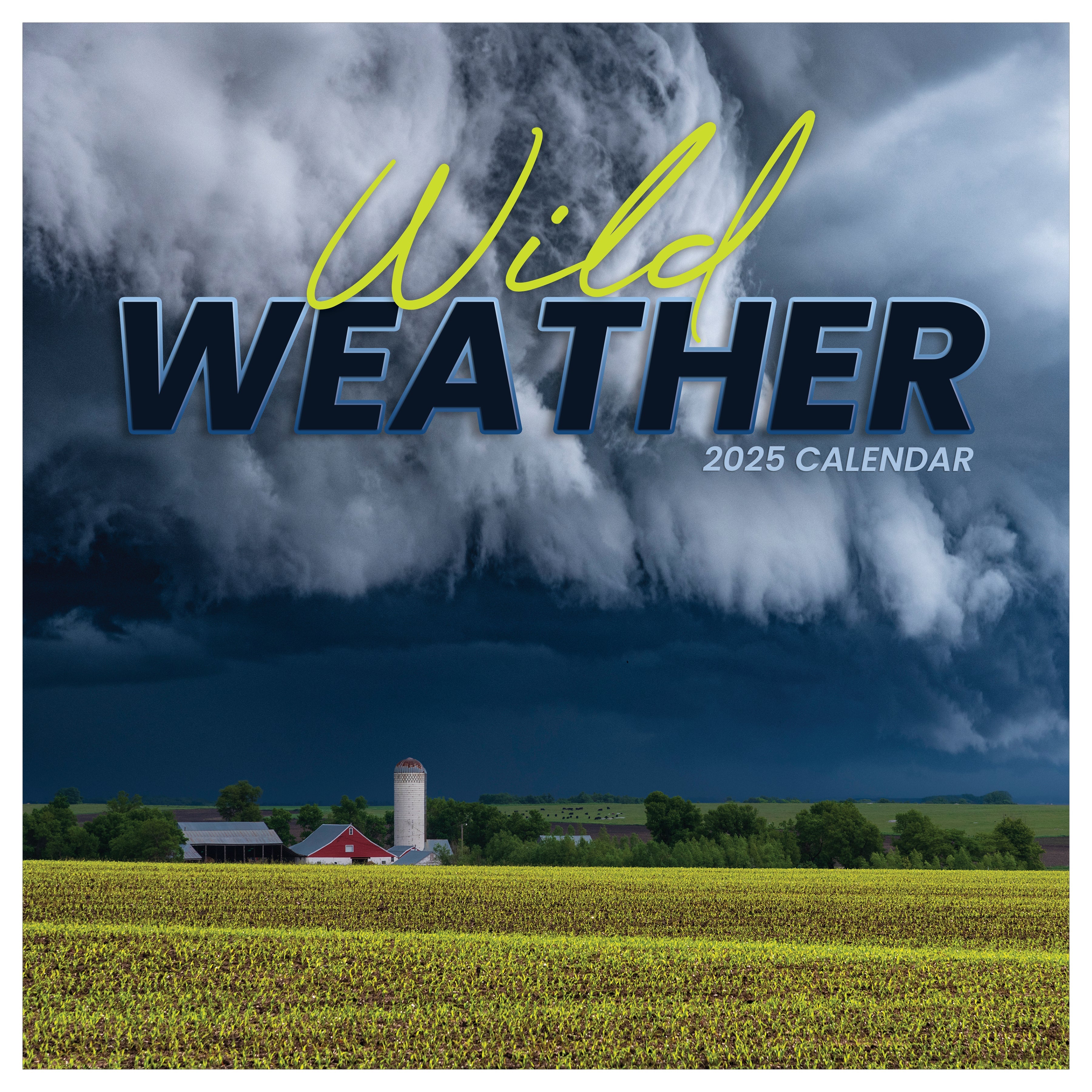 2025 Wild Weather - Square Wall Calendar