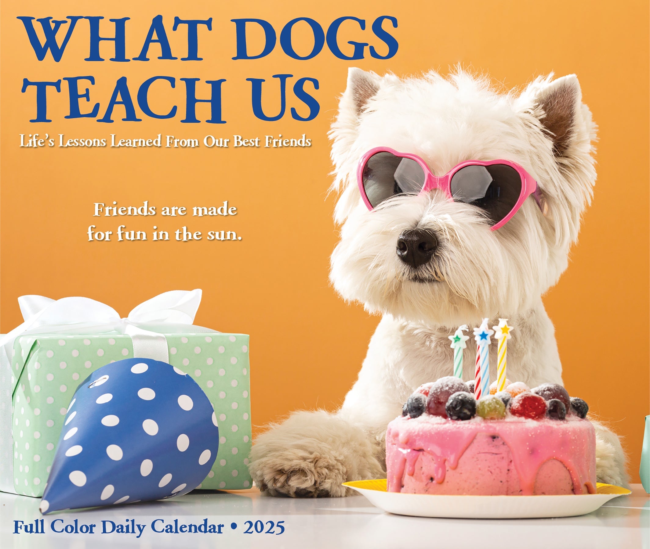 2025 What Dogs Teach Us - Daily Boxed Page-A-Day Calendar