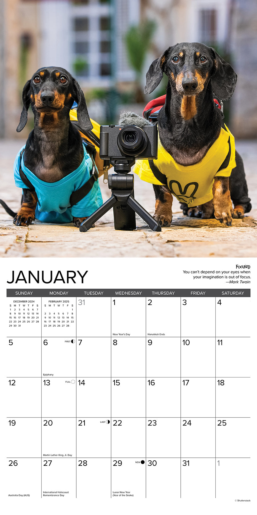 2025 Dachshund Rules - Square Wall Calendar