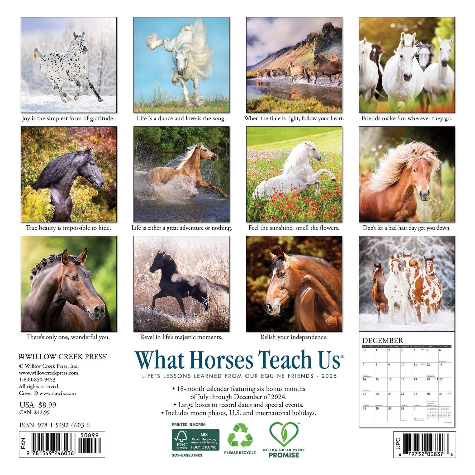 2025 What Horses Teach Us - Mini Wall Calendar