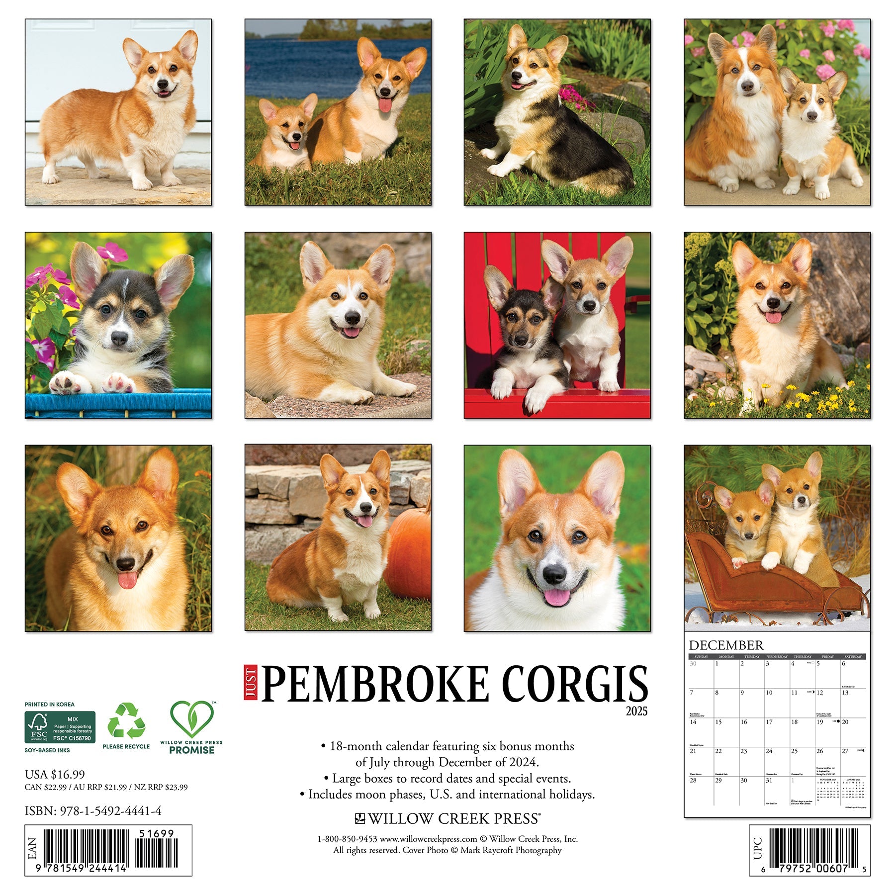 2025 Pembroke Corgis - Square Wall Calendar