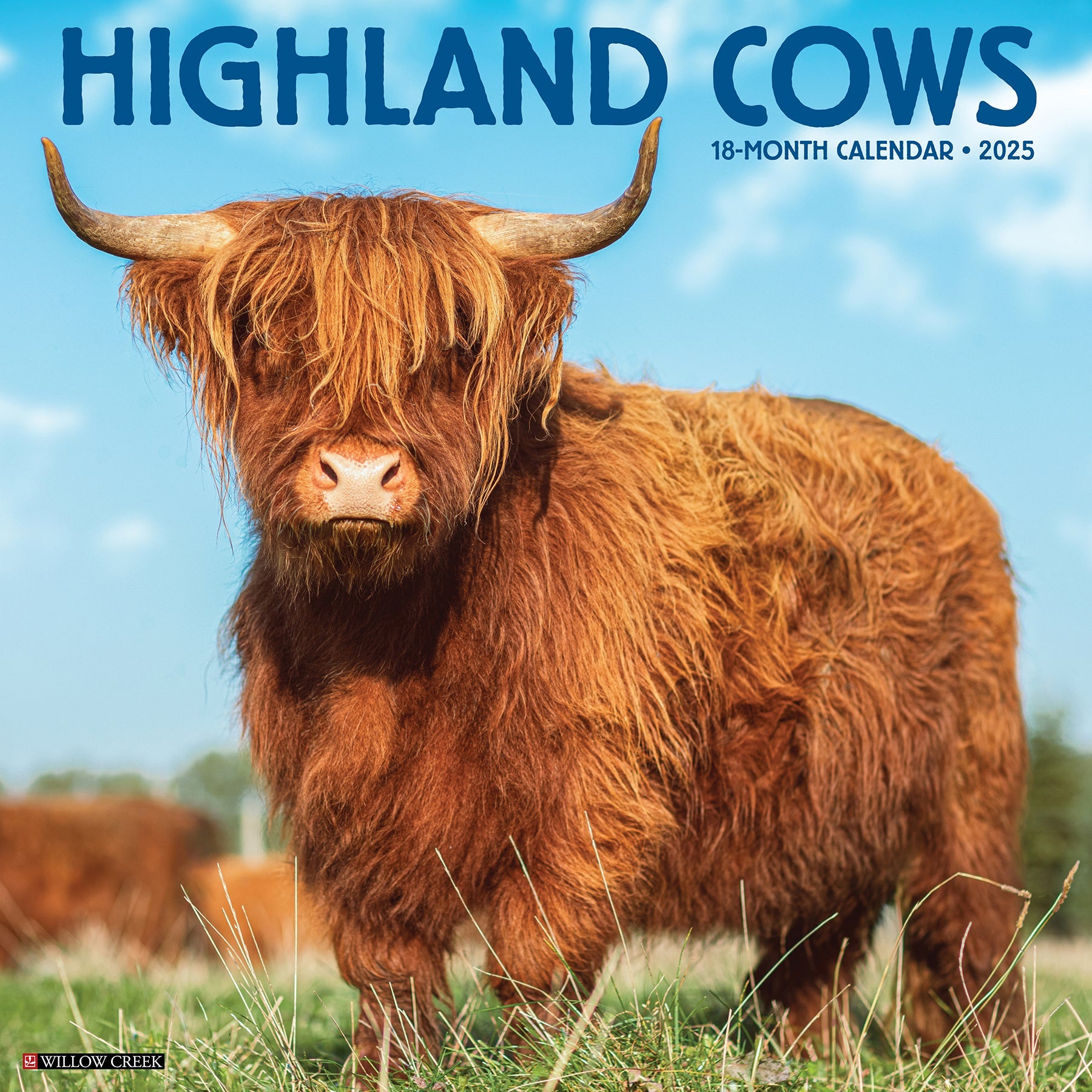 2025 Highland Cows - Square Wall Calendar