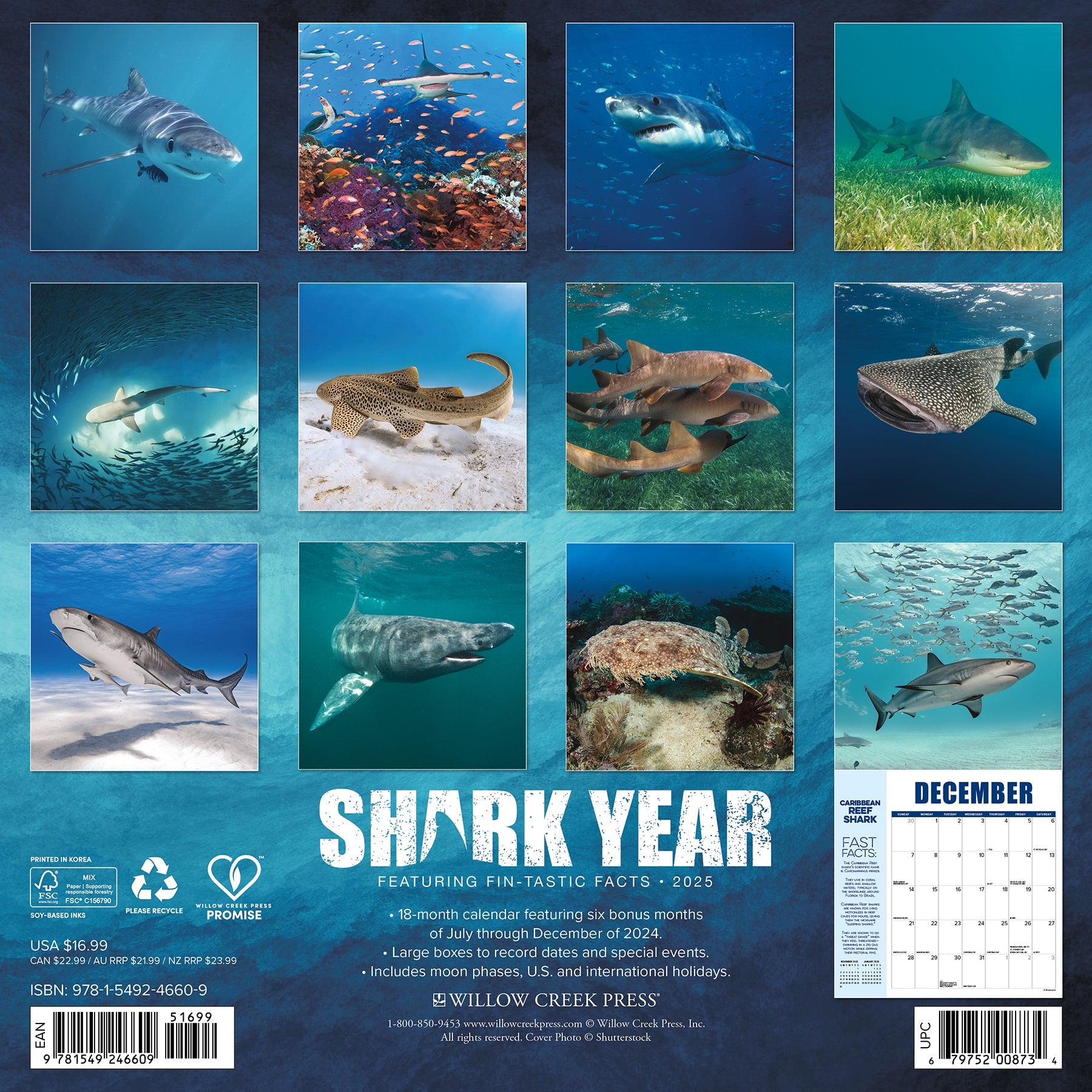 2025 Shark Year - Square Wall Calendar