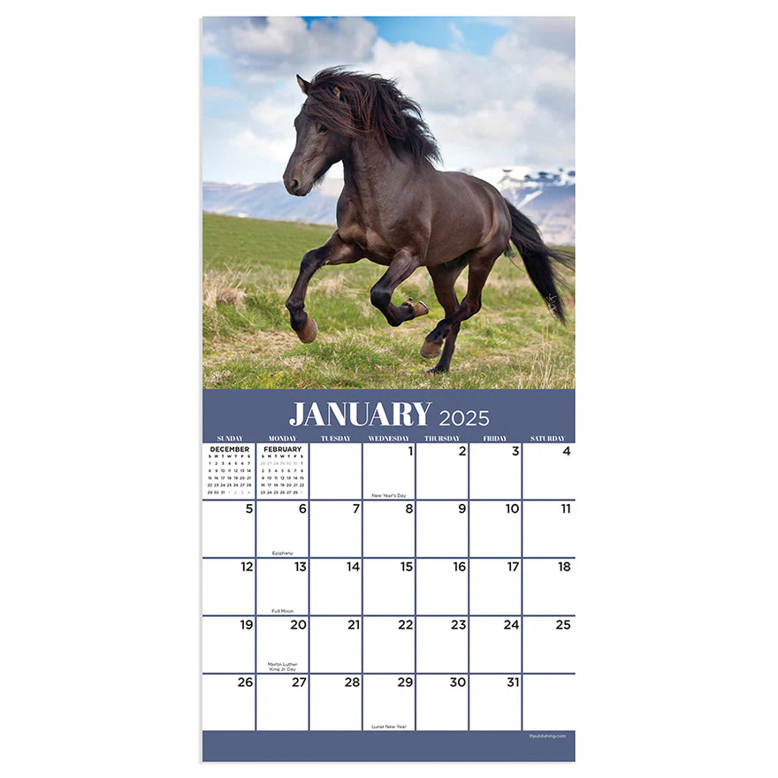 2025 Horses - Mini Wall Calendar