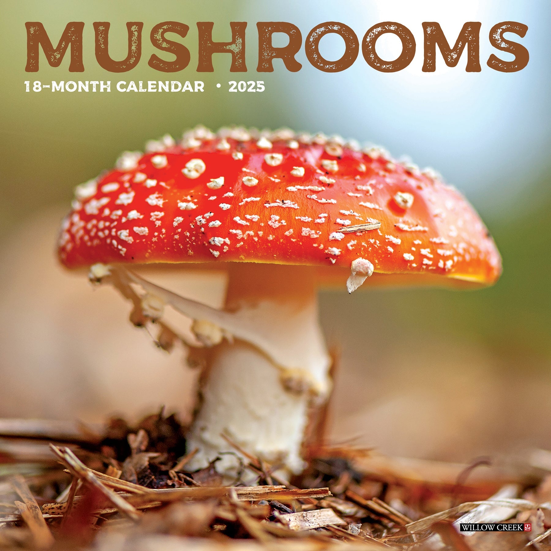 2025 Mushrooms - Mini Wall Calendar