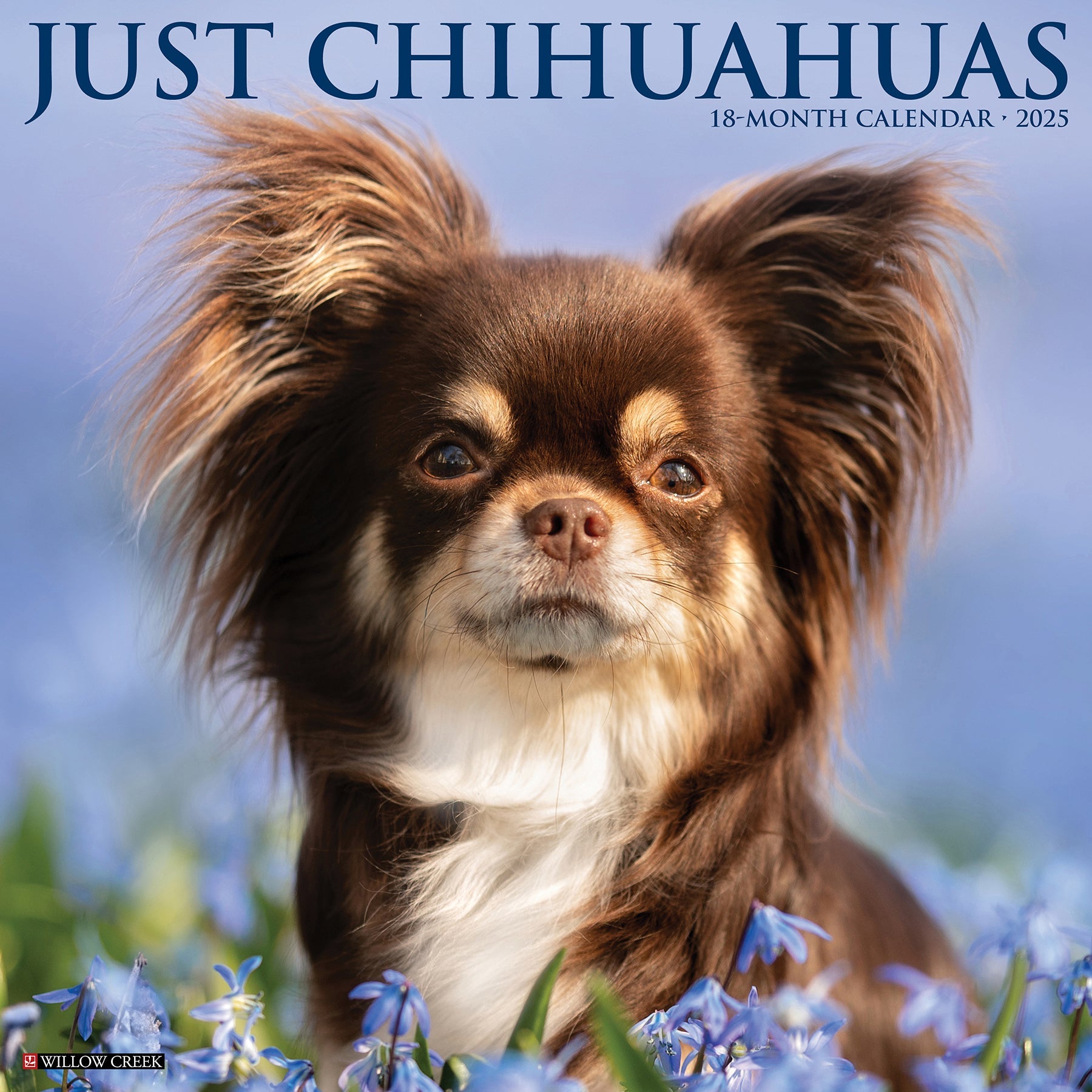 2025 Chihuahuas - Square Wall Calendar