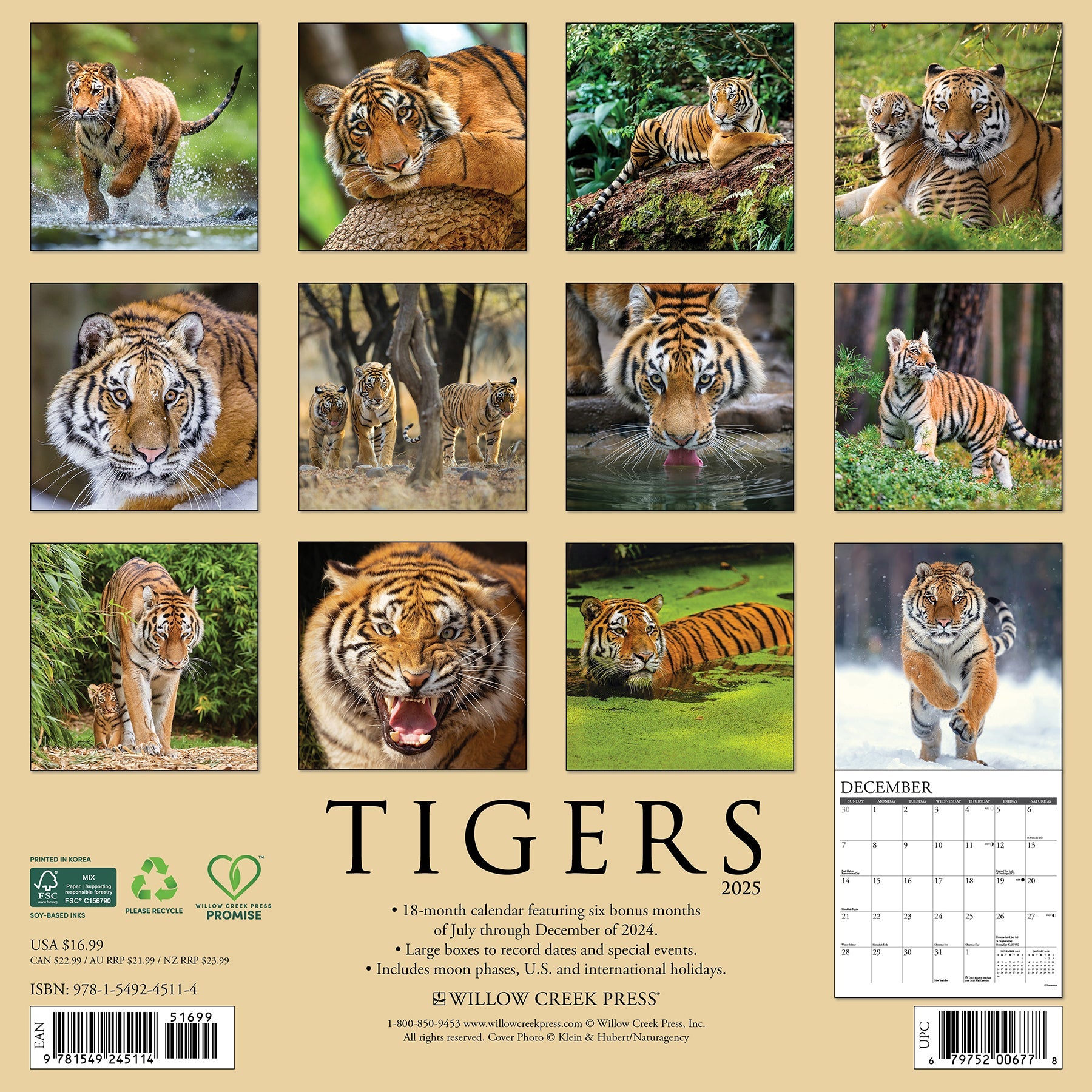 2025 Tigers - Square Wall Calendar