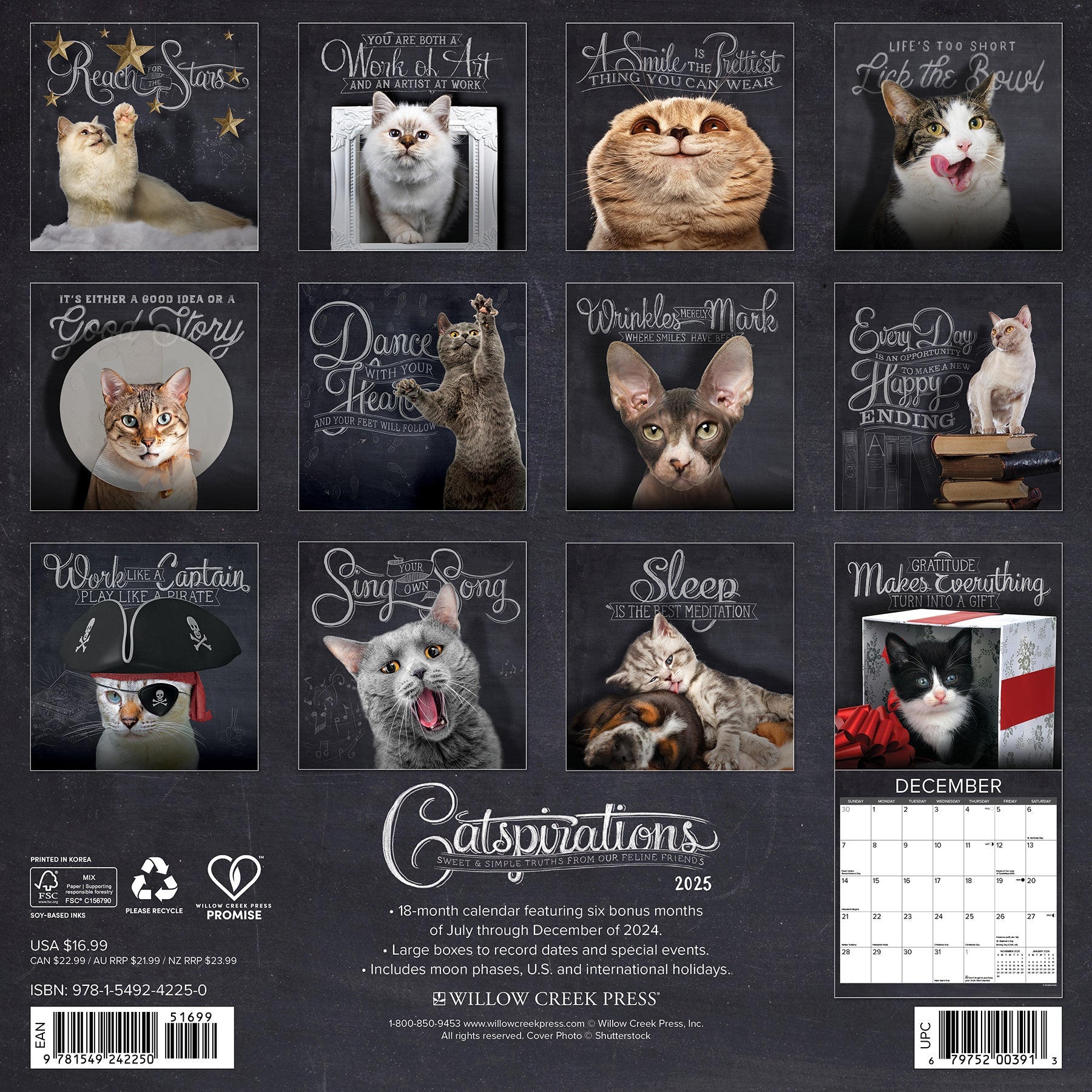 2025 Catspirations - Square Wall Calendar