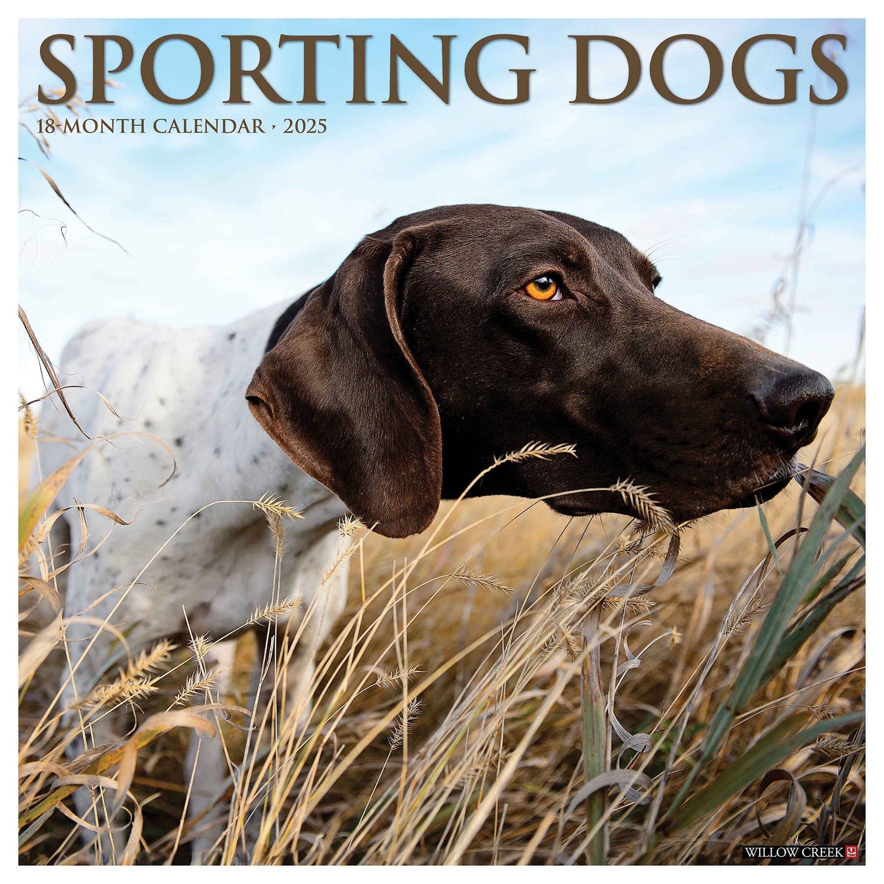 2025 Sporting Dogs - Square Wall Calendar