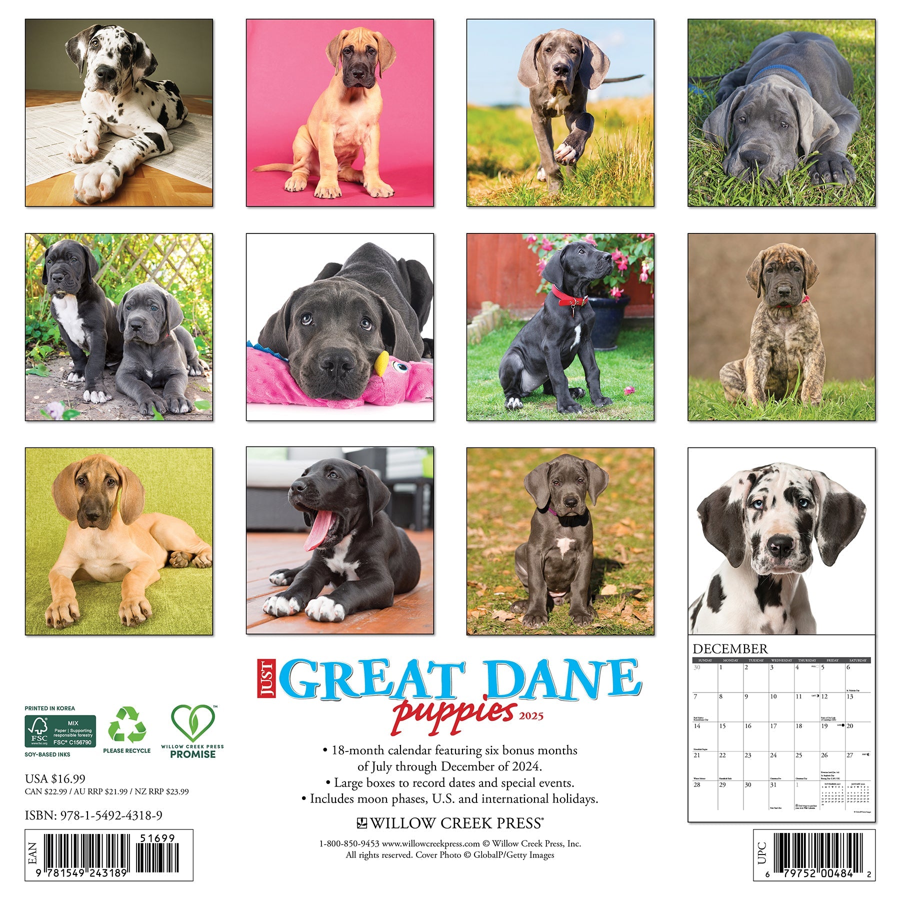 2025 Great Dane Puppies - Square Wall Calendar