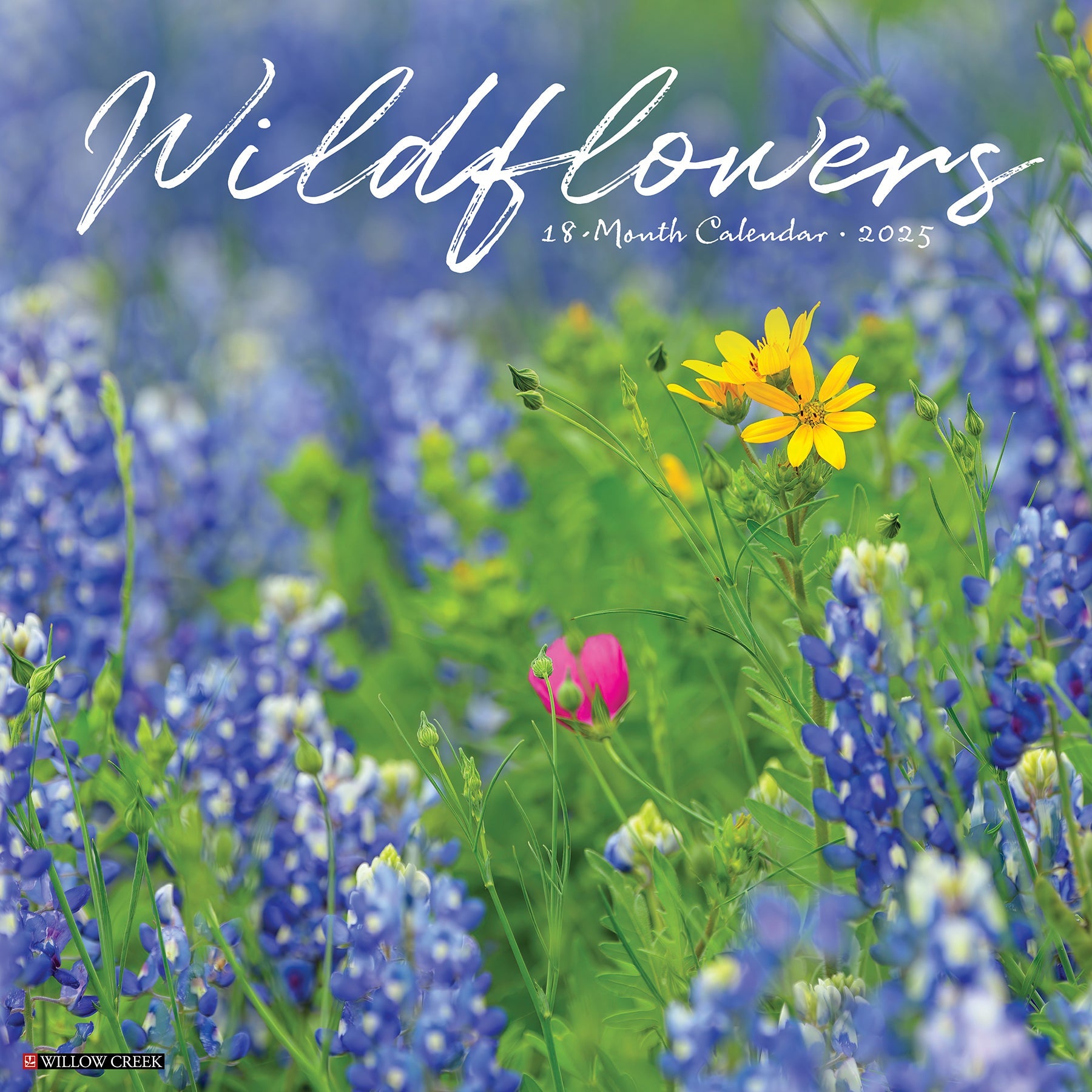 2025 Wildflowers - Square Wall Calendar