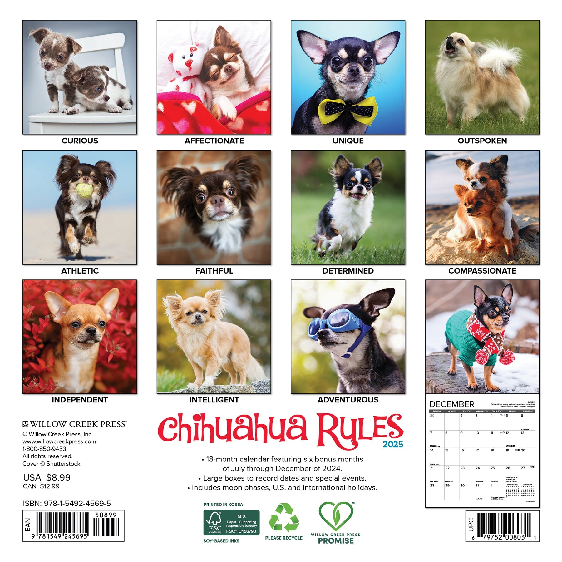 2025 Chihuahua Rules - Mini Wall Calendar