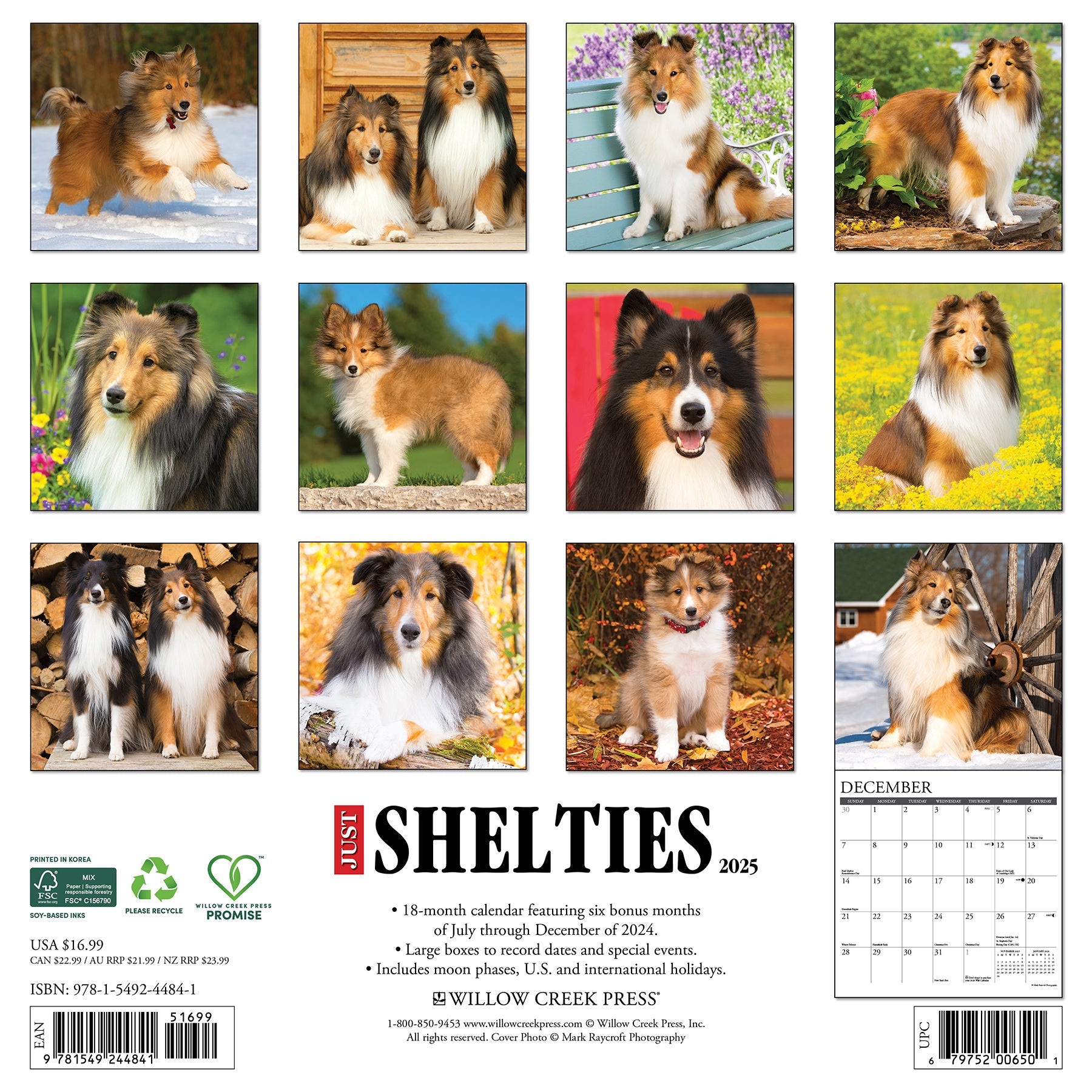 2025 Shelties - Square Wall Calendar