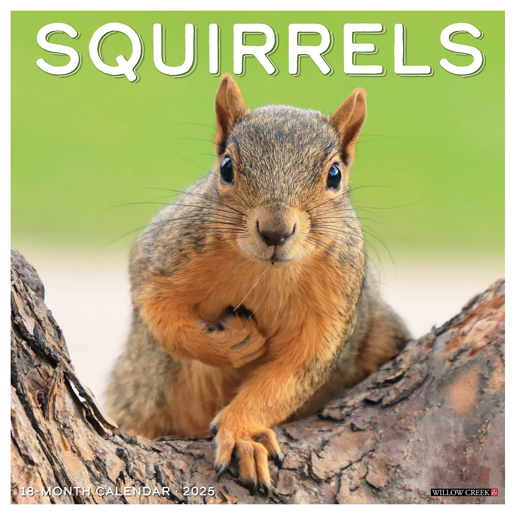 2025 Squirrels - Square Wall Calendar