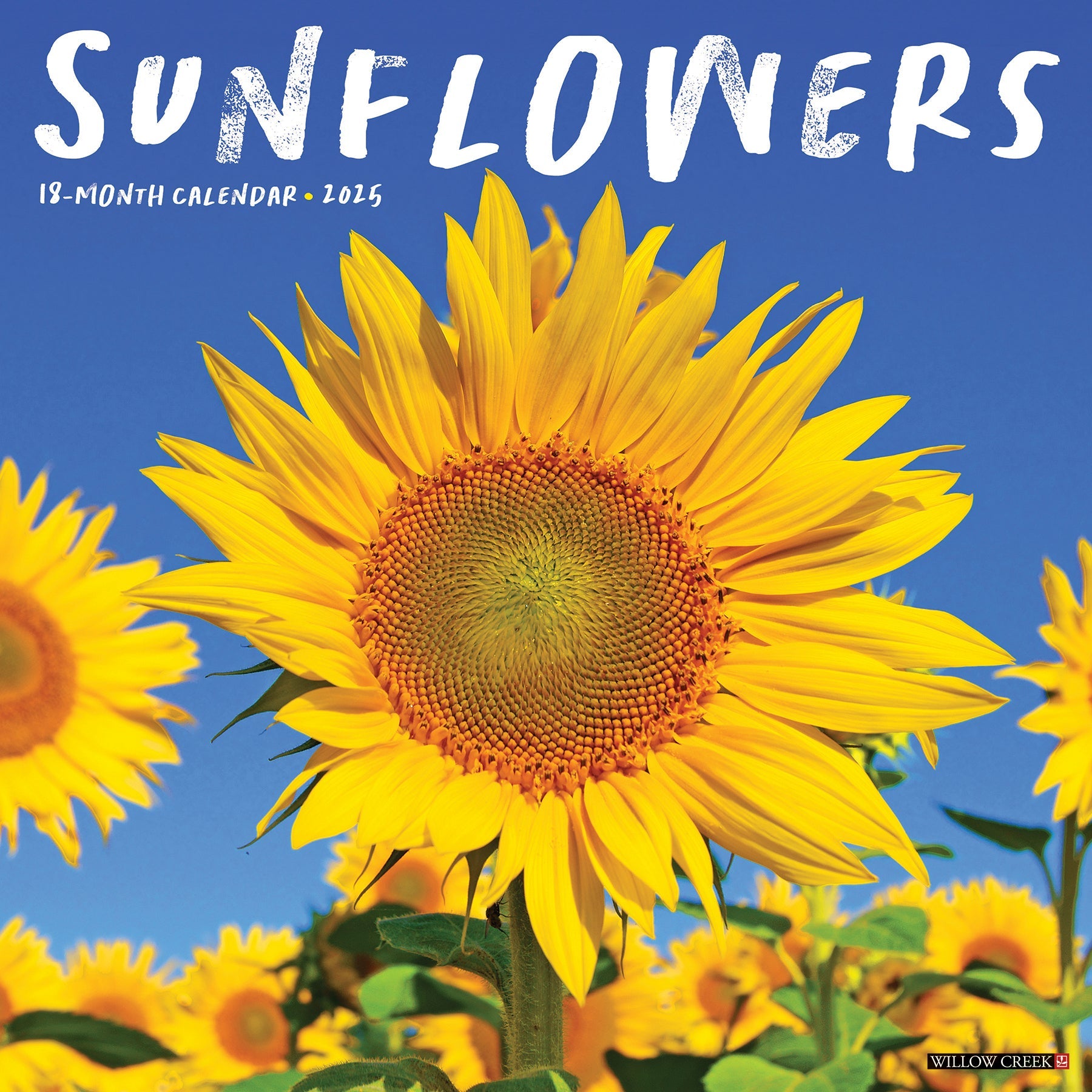 2025 Sunflowers - Square Wall Calendar