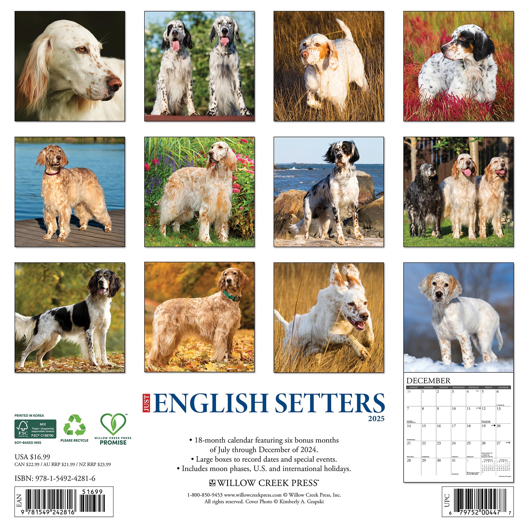 2025 English Setters - Square Wall Calendar