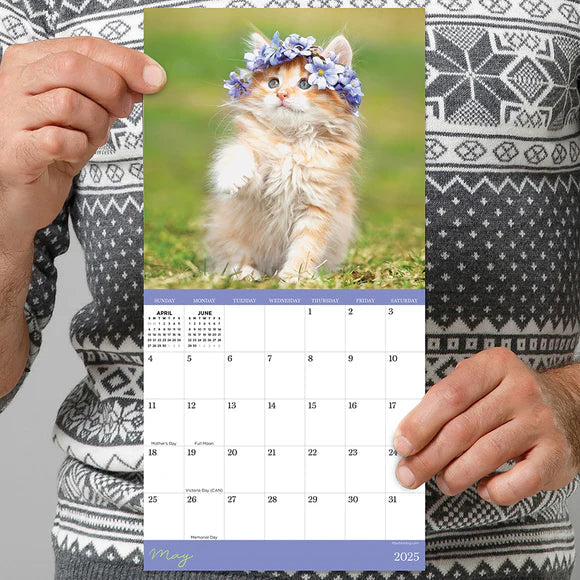 2025 Kittens - Mini Wall Calendar