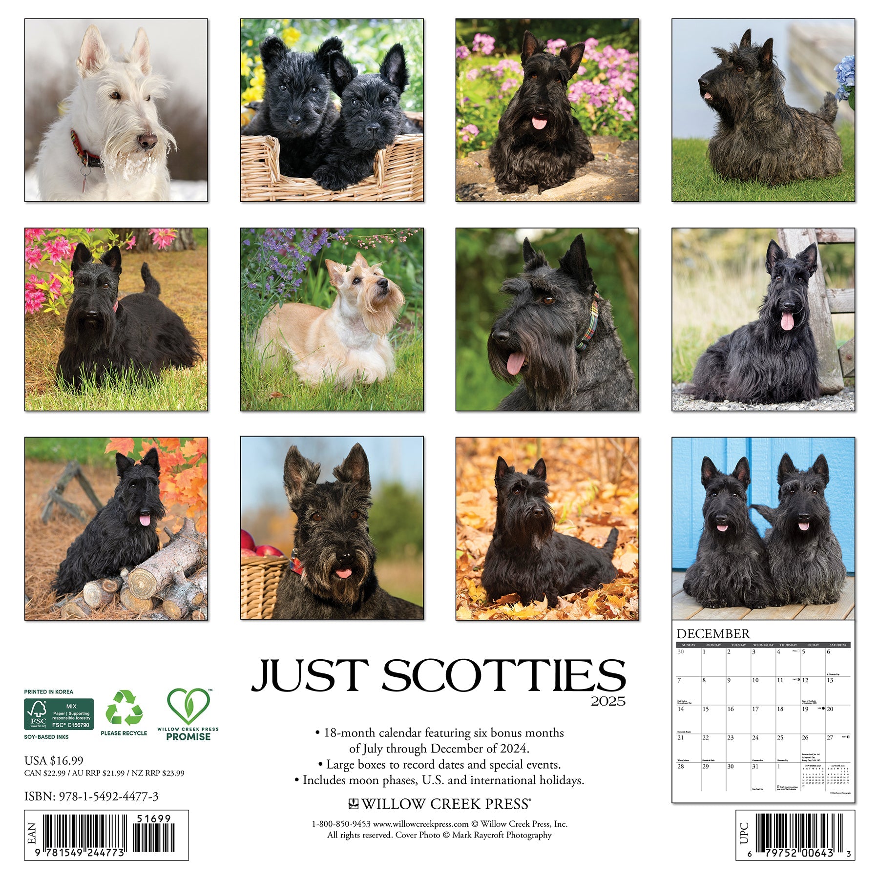 2025 Scotties - Square Wall Calendar