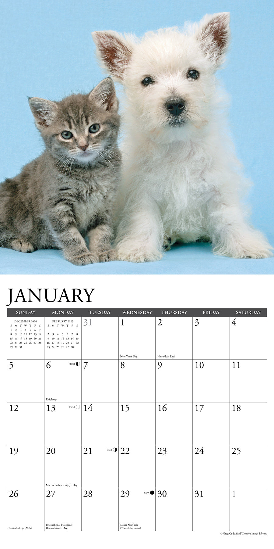 2025 Kittens & Puppies - Square Wall Calendar