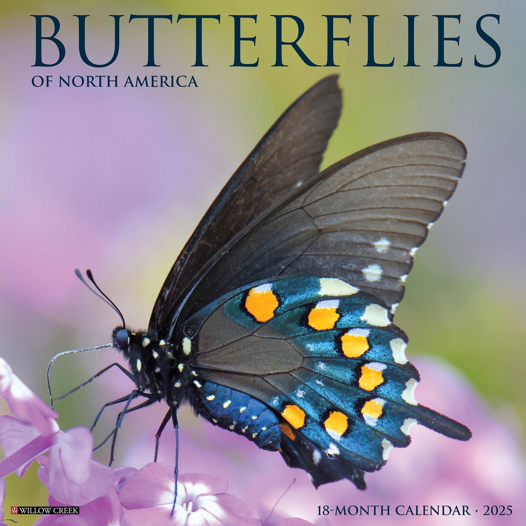 2025 Butterflies - Square Wall Calendar