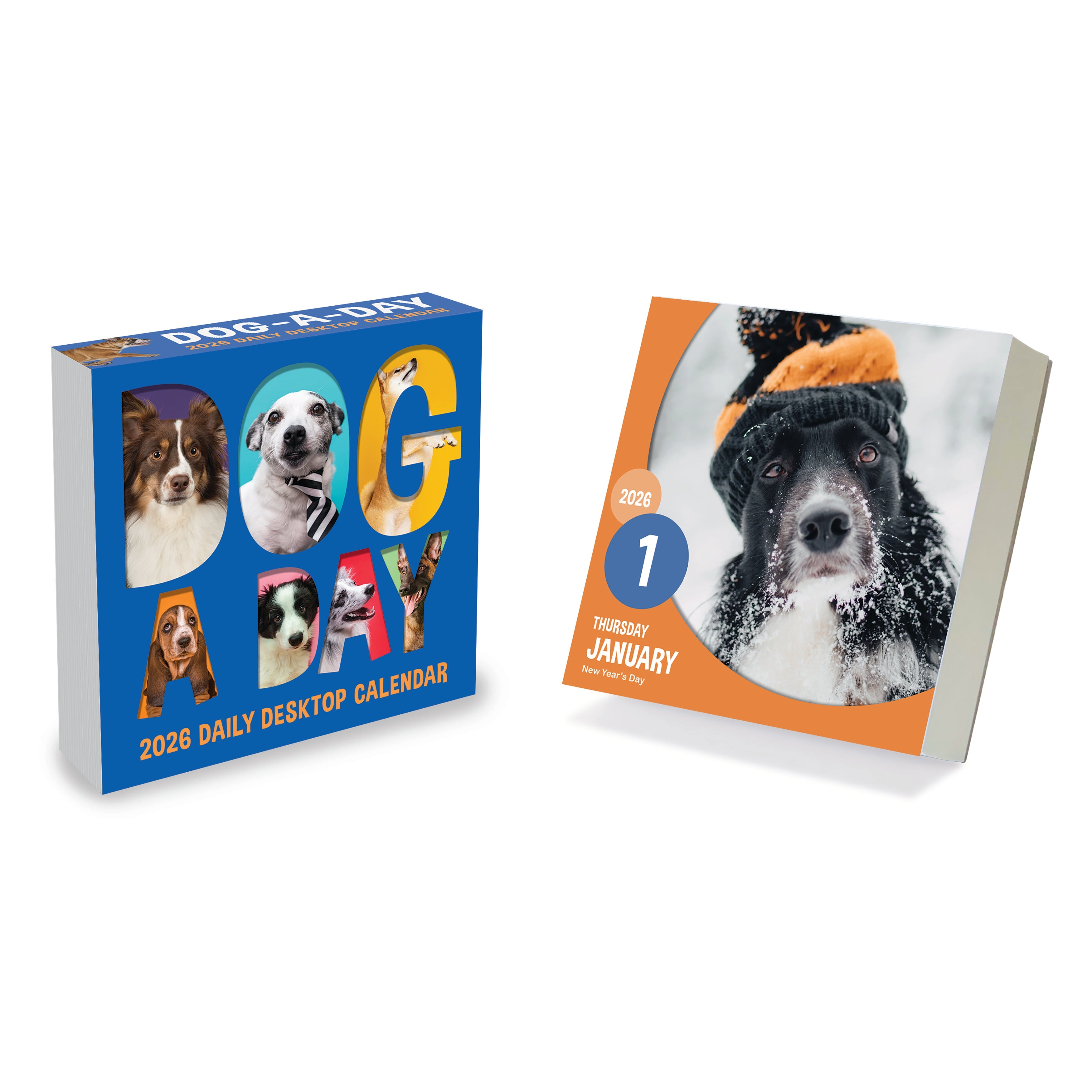 2026 Dog A Day - Daily Boxed Page-A-Day Calendar