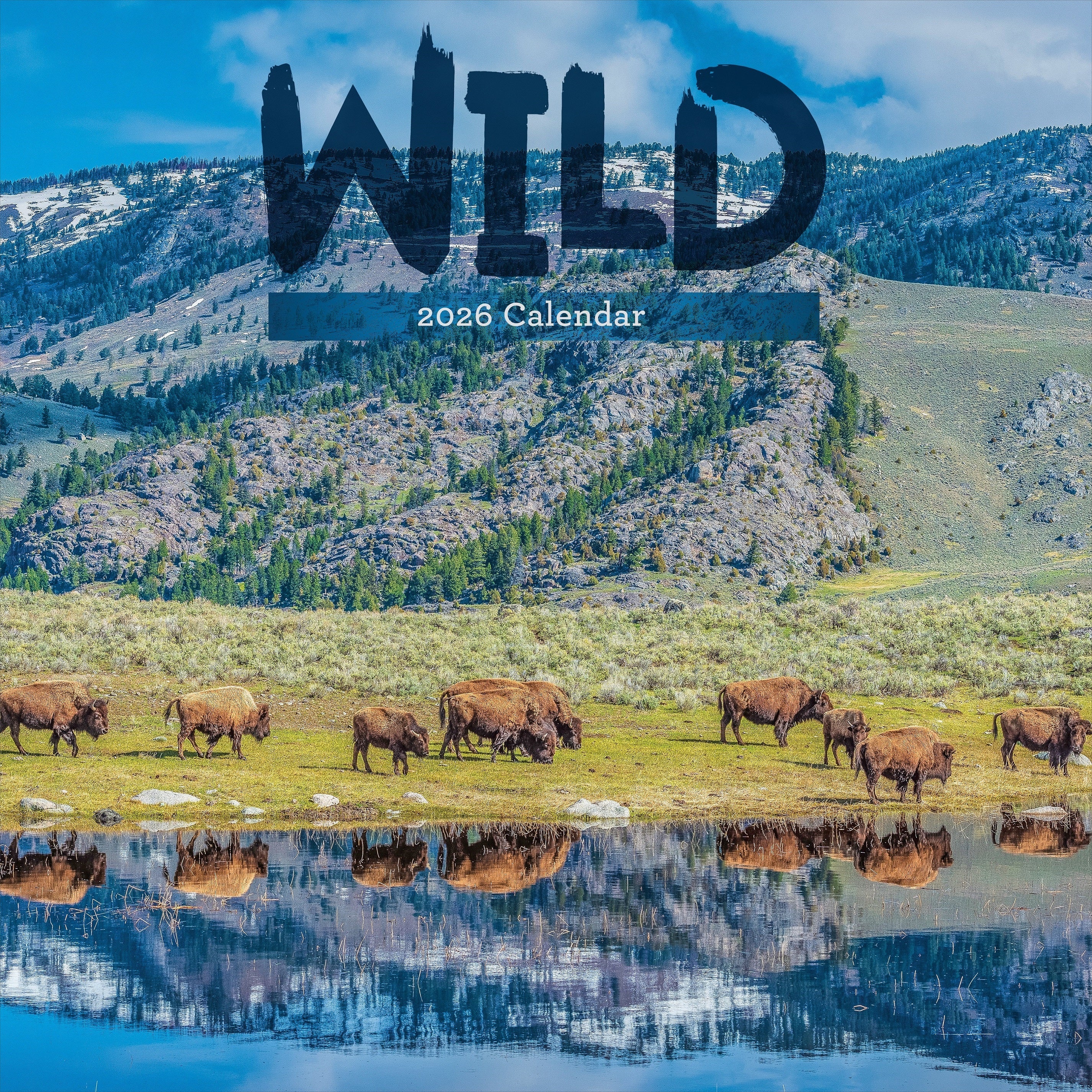 2026 Wild - Square Wall Calendar