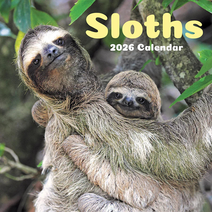 2026 Sloths - Square Wall Calendar