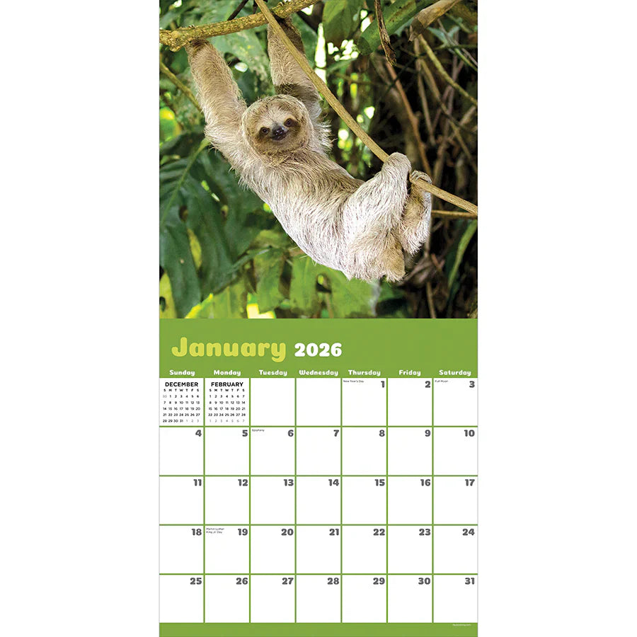 2026 Sloths - Square Wall Calendar