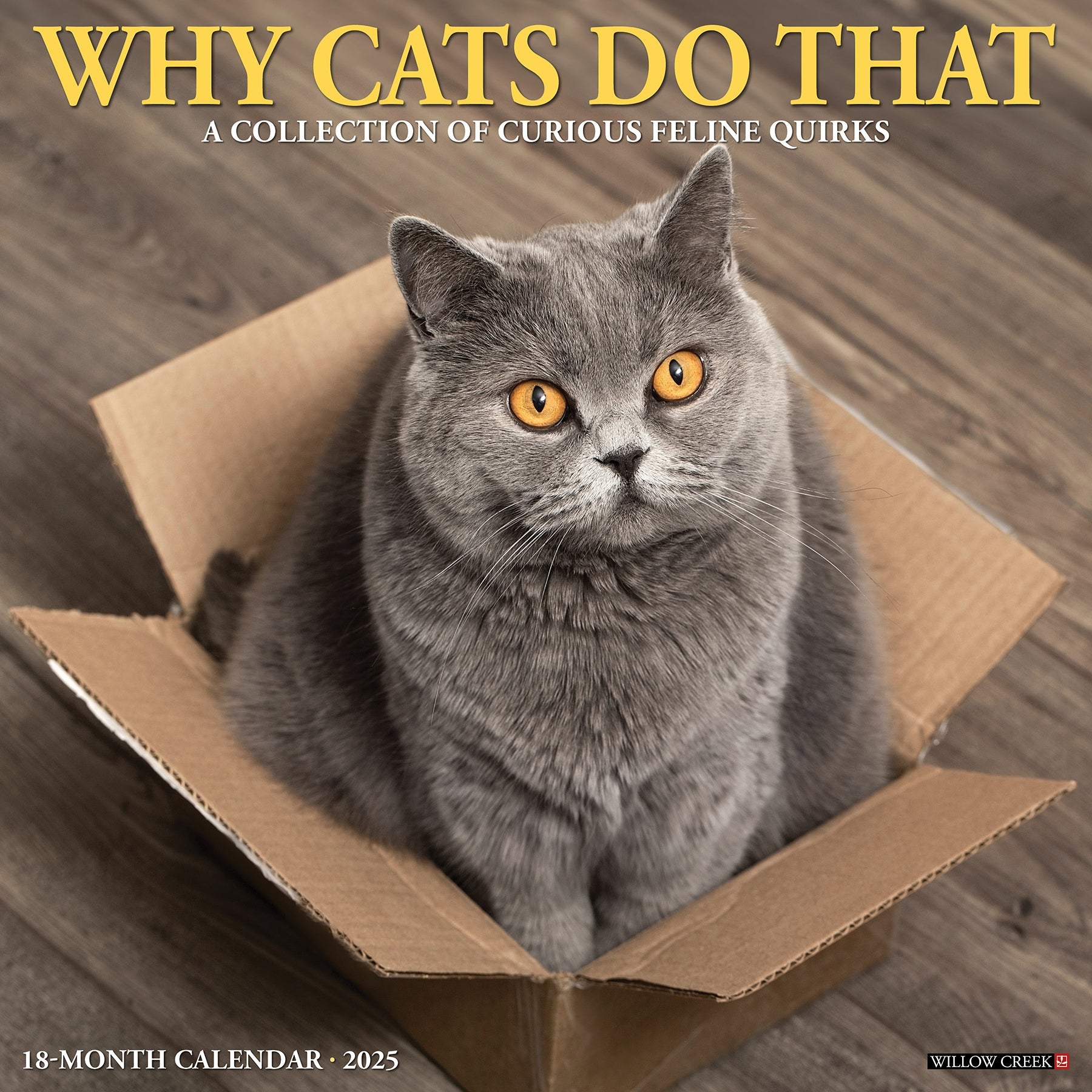 2025 Why Cats Do That - Square Wall Calendar