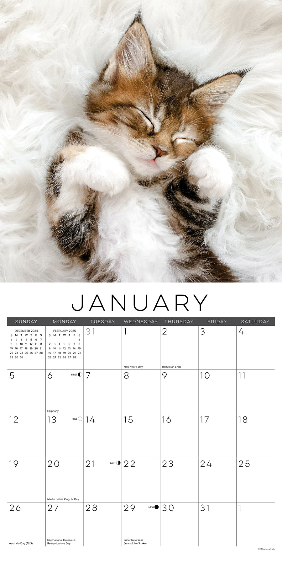 2025 Naptime: A Cat's Favorite Pastime - Square Wall Calendar