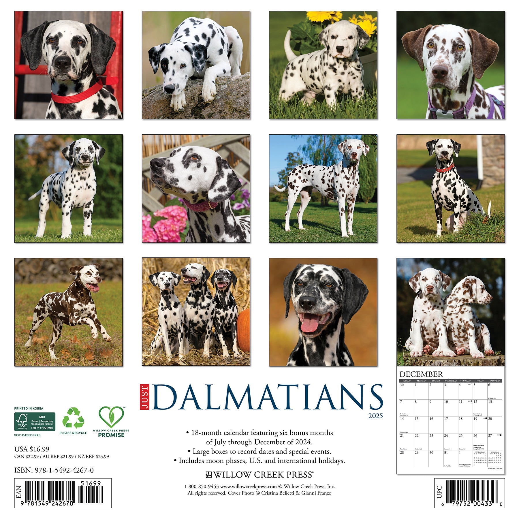 2025 Dalmatians - Square Wall Calendar