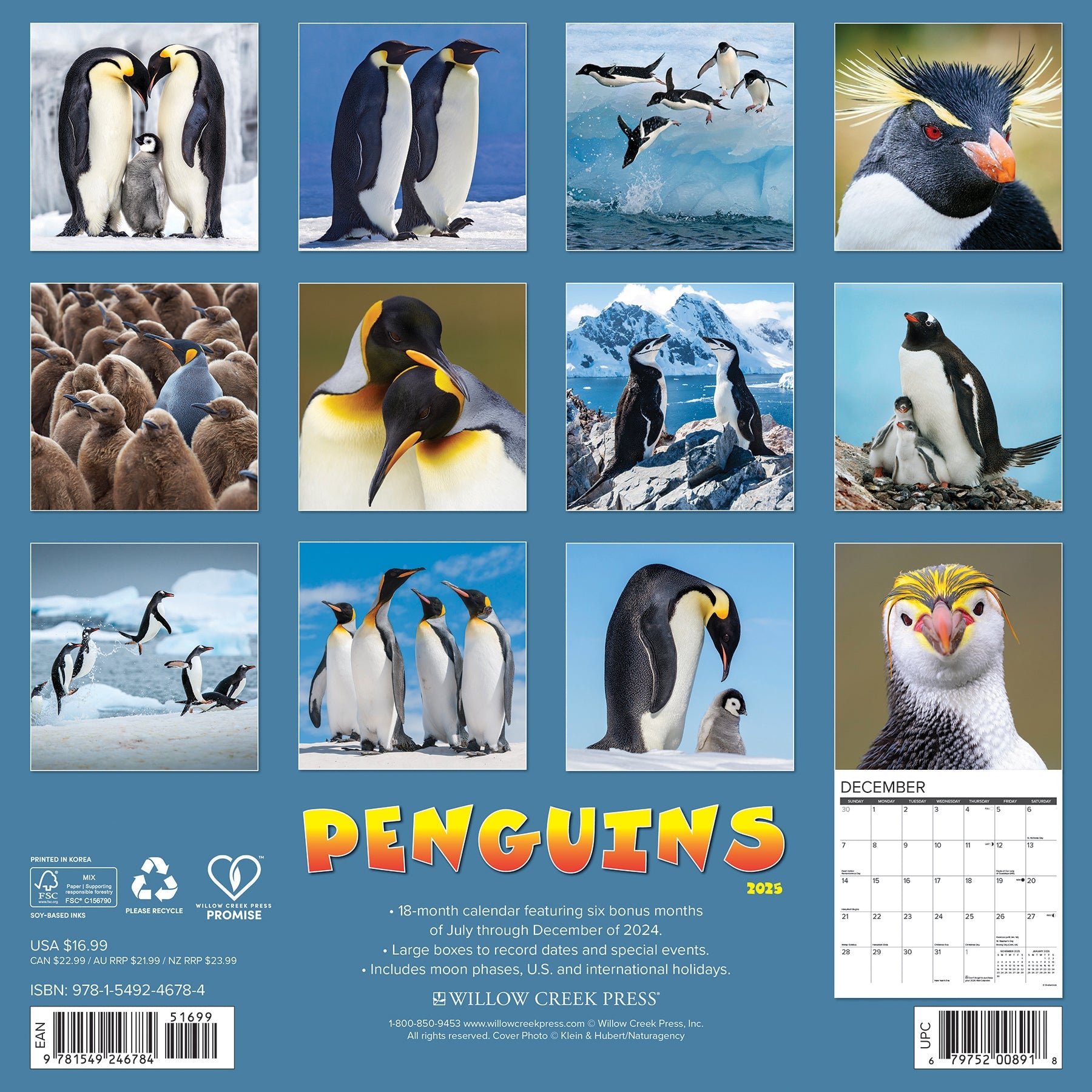 2025 Penguins - Square Wall Calendar