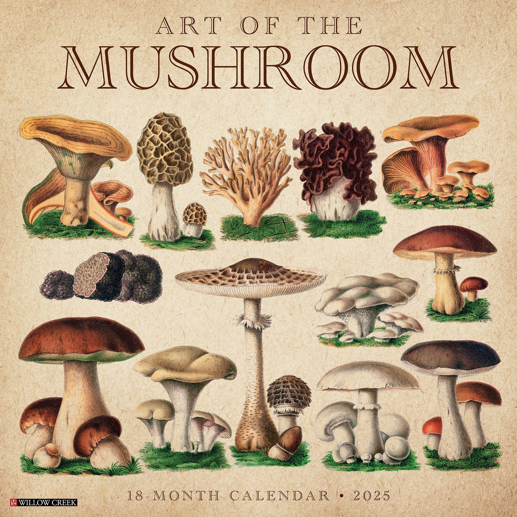 2025 Art of the Mushroom - Square Wall Calendar