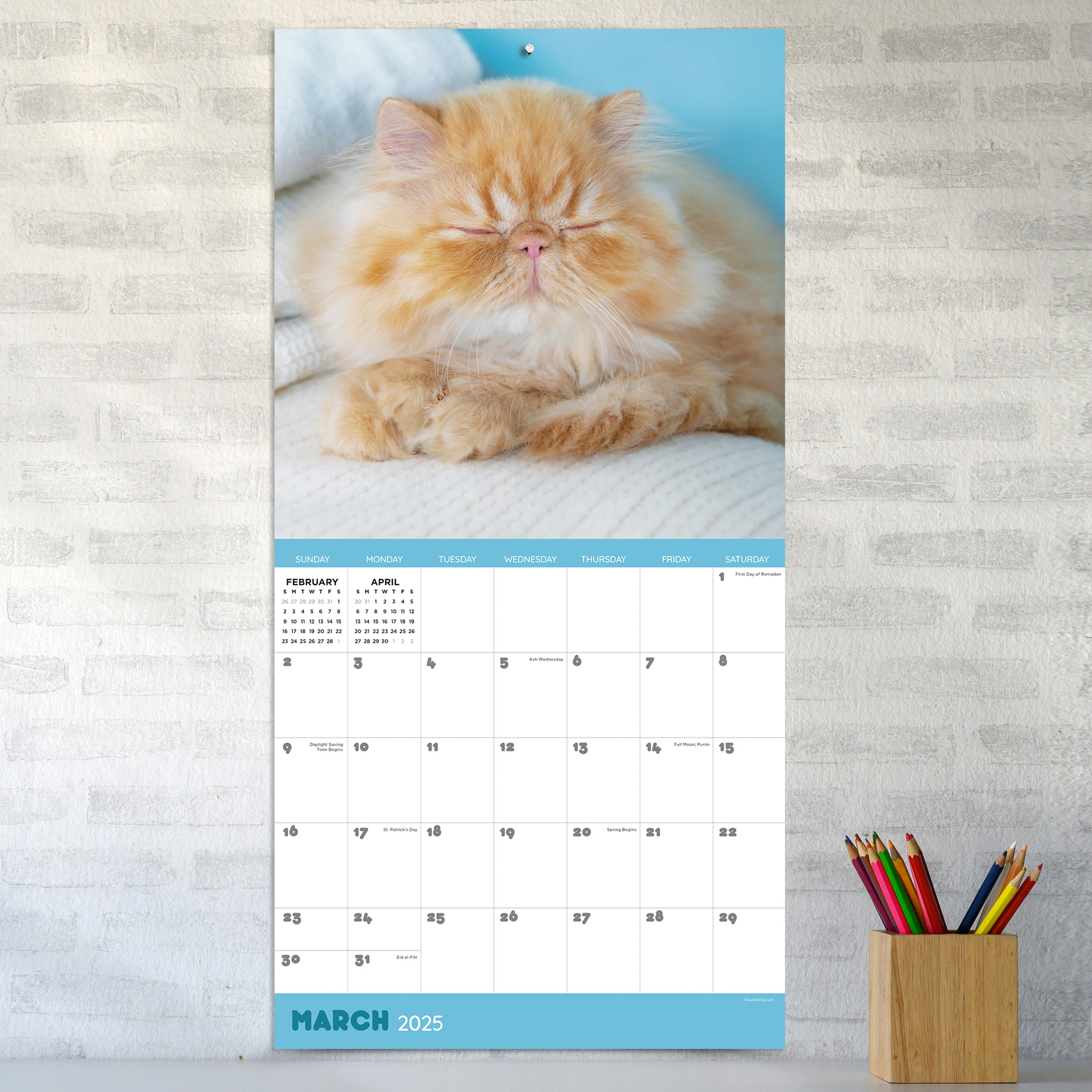 2025 Cat Dreams - Square Wall Calendar