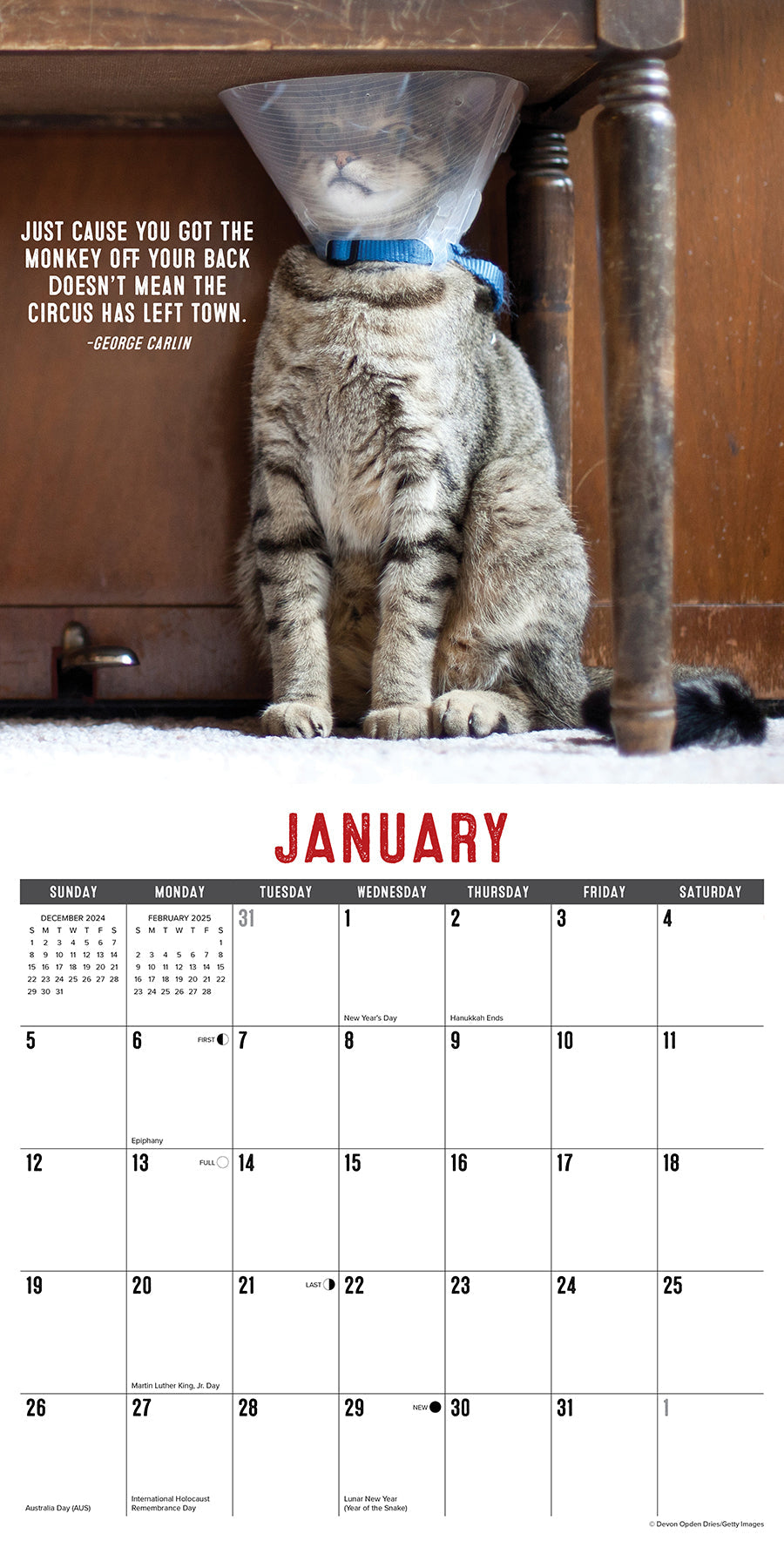 2025 Bad Kitties - Square Wall Calendar