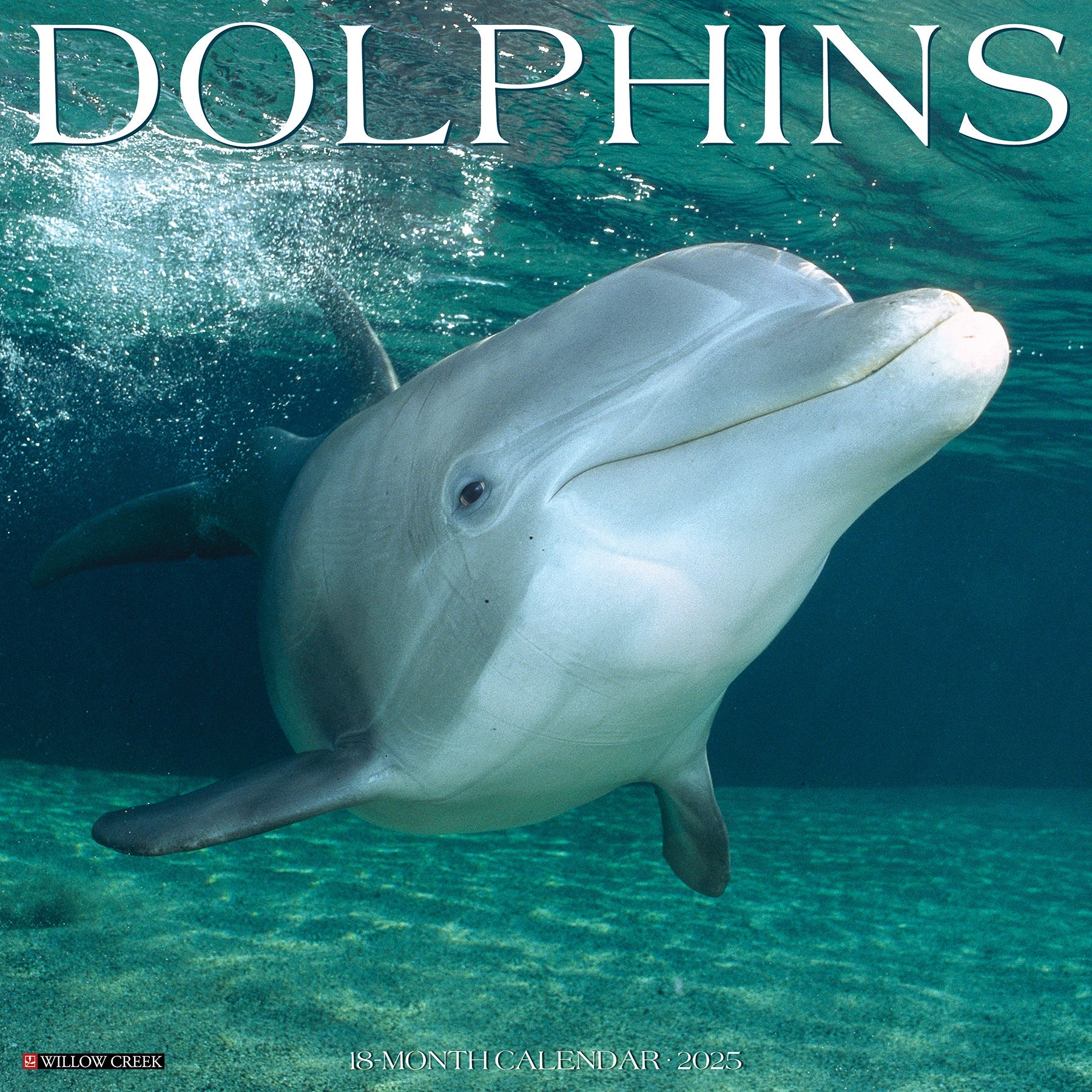 2025 Dolphins - Square Wall Calendar