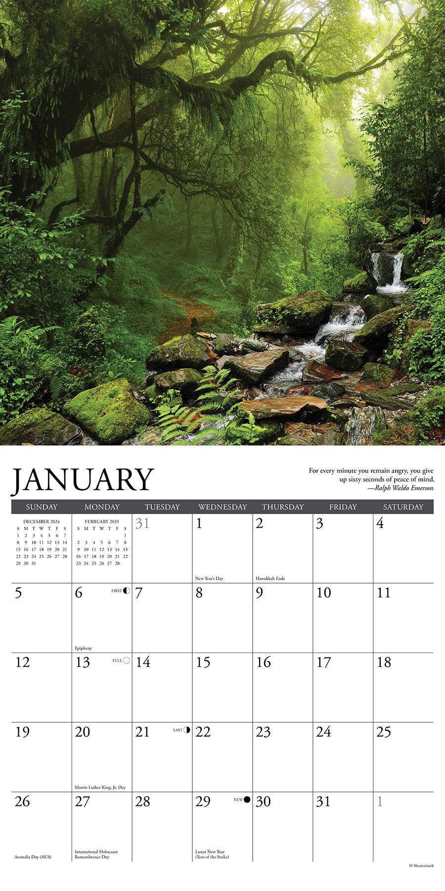 2025 Heaven Has a Forest - Square Wall Calendar