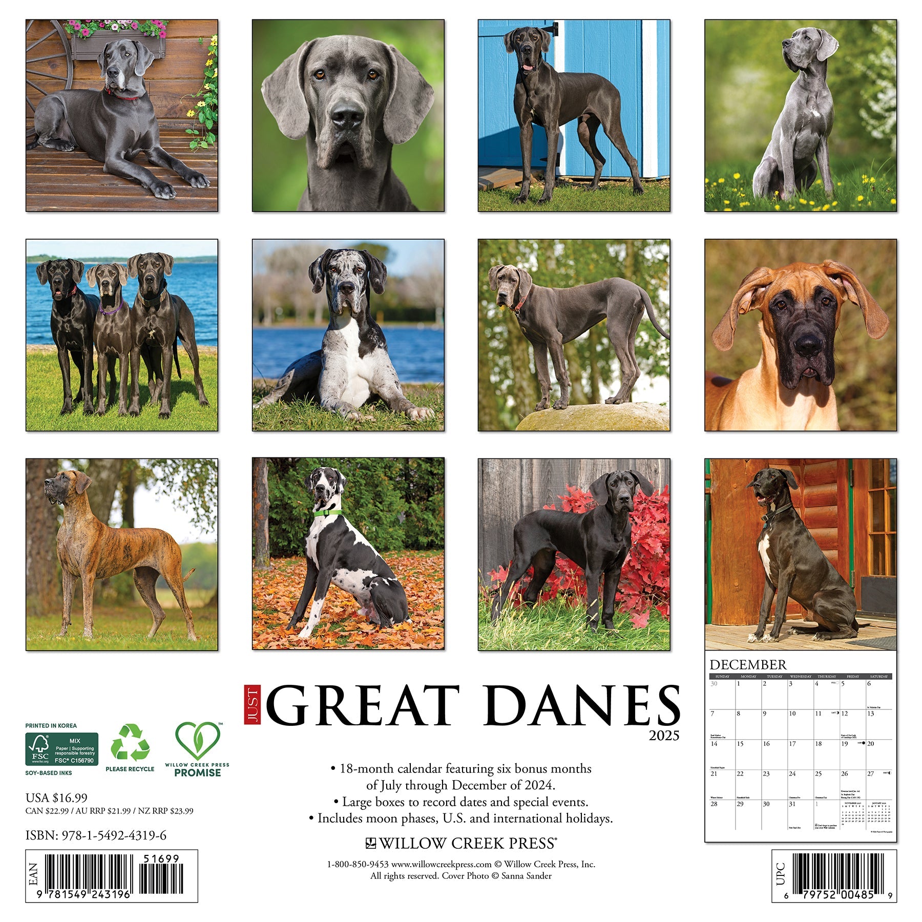 2025 Great Danes - Square Wall Calendar